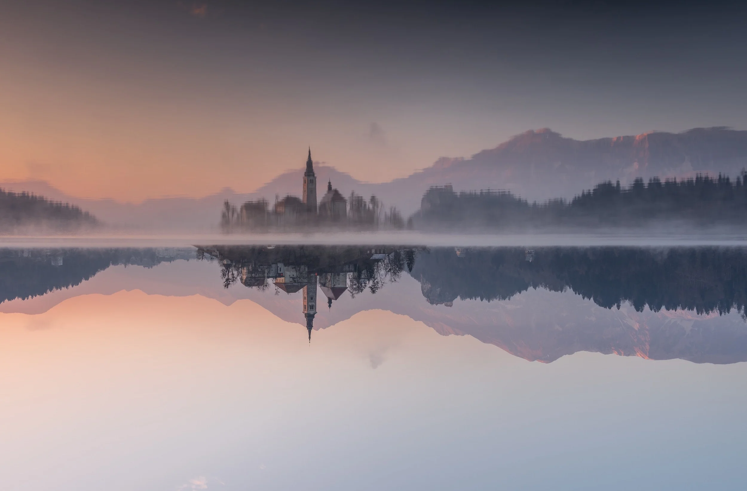 Week 5 | Discovering 