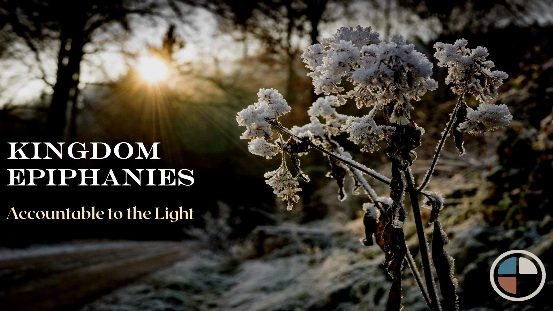 The Seed and the Soil