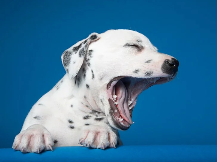 How to Get Sleep and Write Better