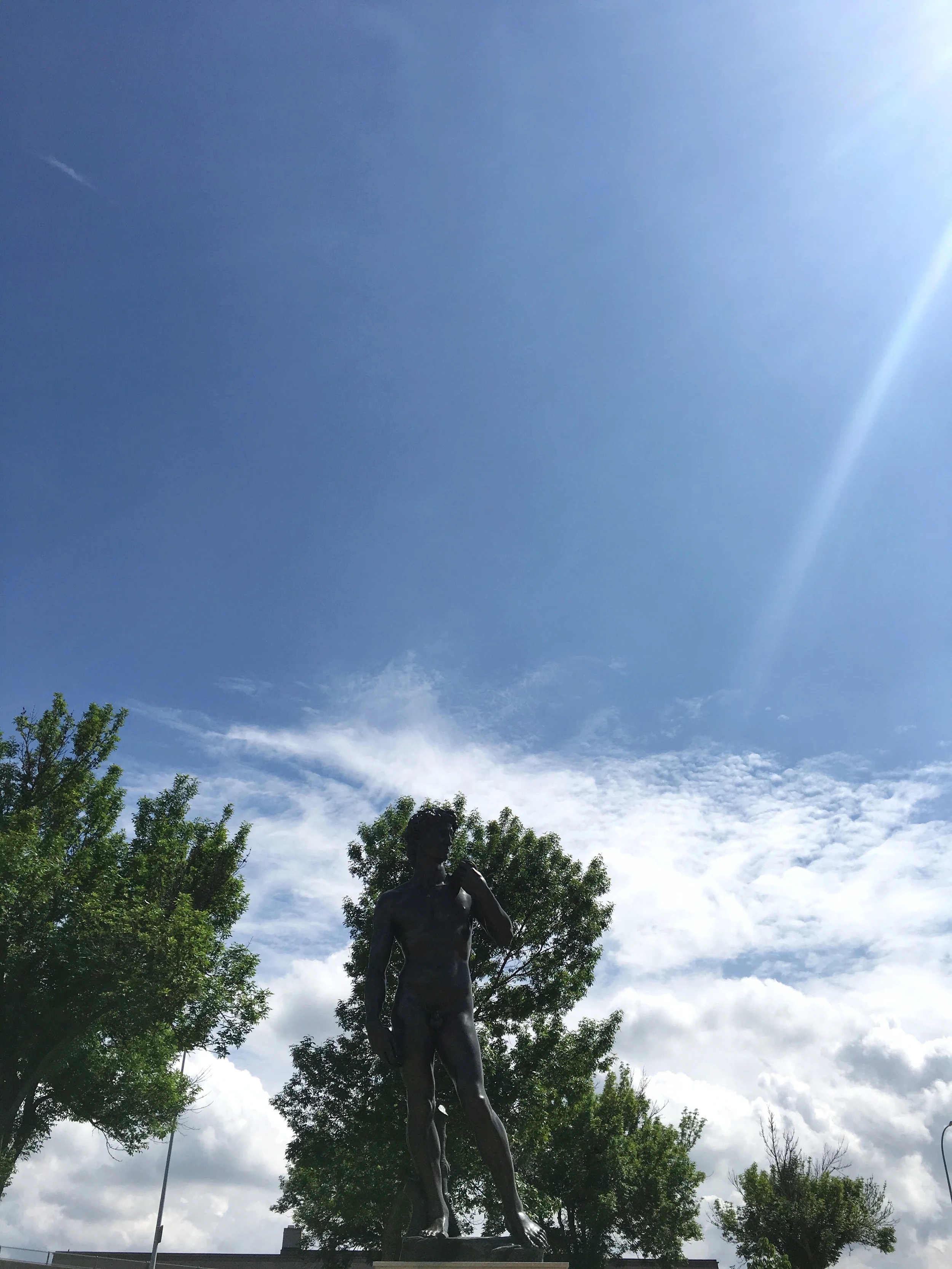 Apparently the statue of David is also in Sioux Falls, SD. This place has everything!