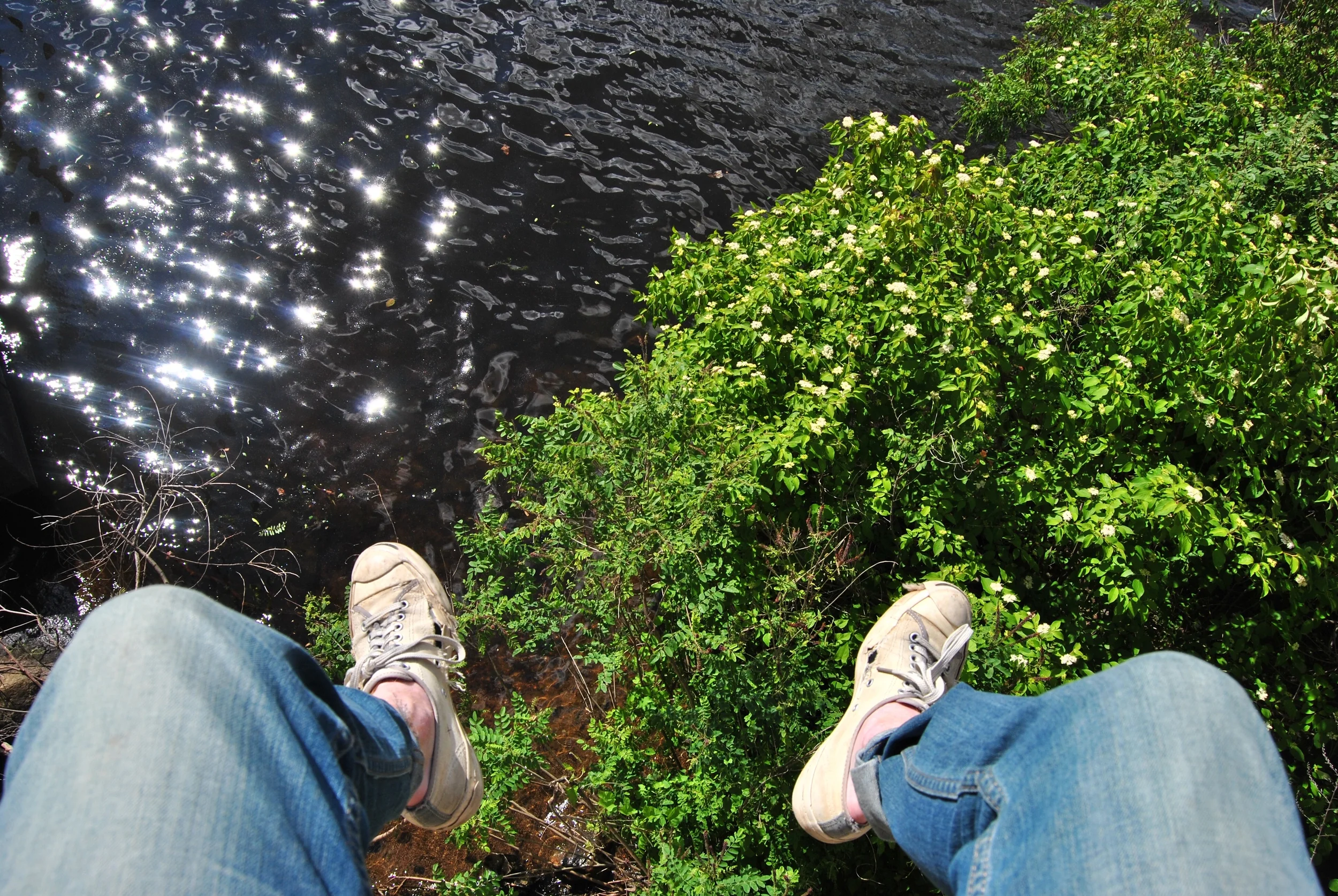 Shrek, I'm looking down!
