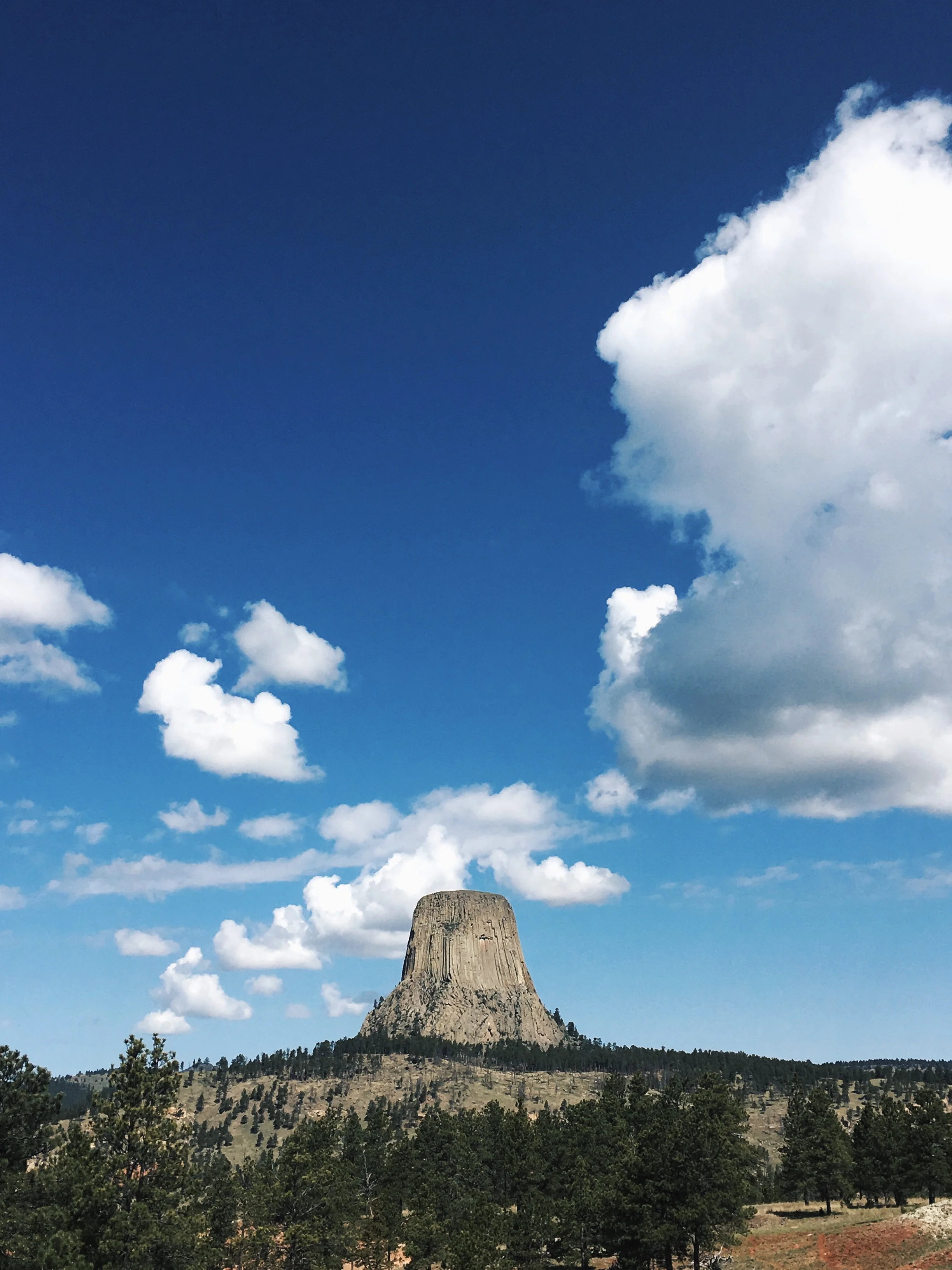 And just down the road from Devil's Tower View restaurant, Devil's Tower! Definitely one of the coolest sights of the trip - partially because nobody really knows what it is.