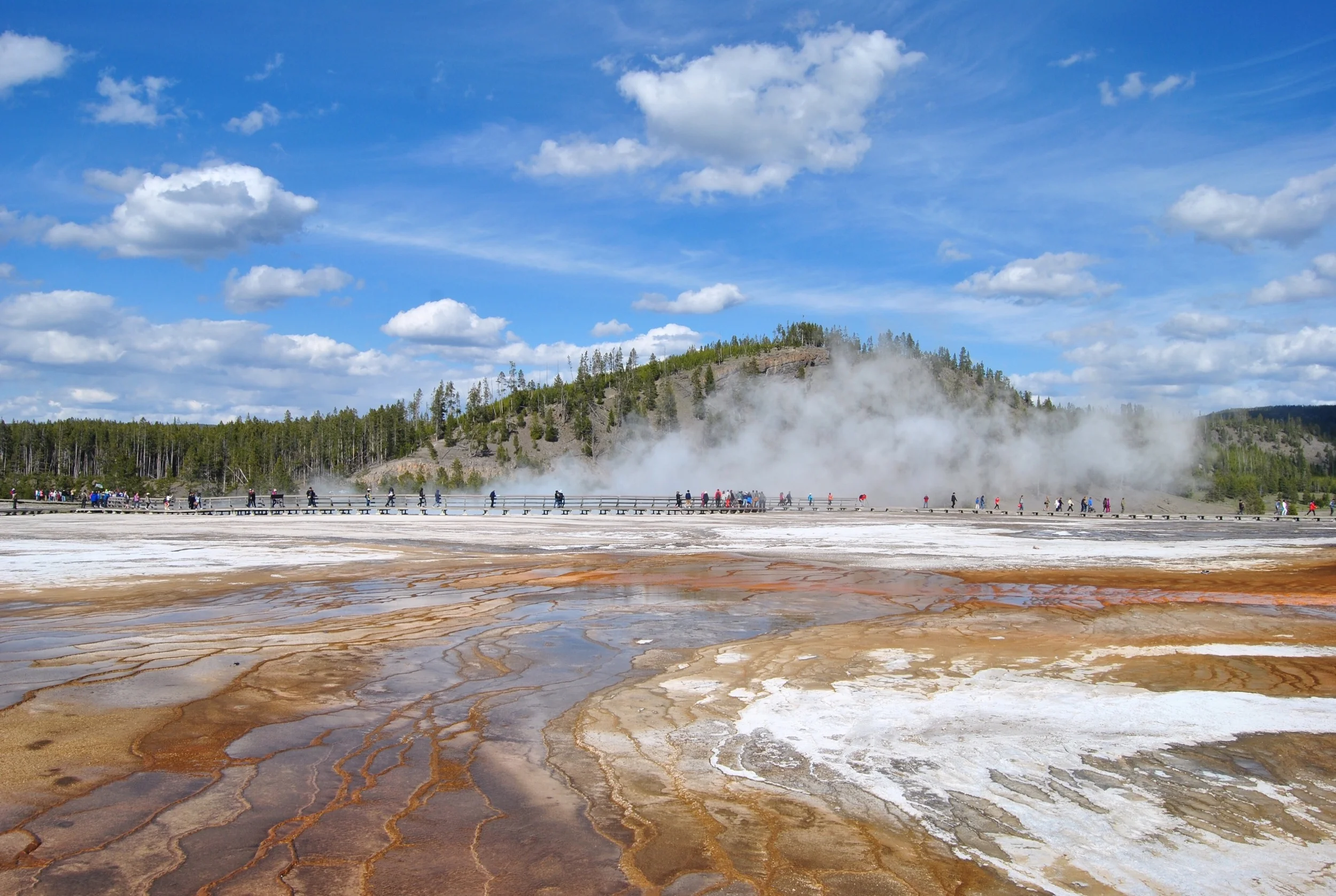 Grand Prismatic Spring may take all the glory at Midway Geyser Basin, but even the muddy coloured crust was incredibly intricate. 