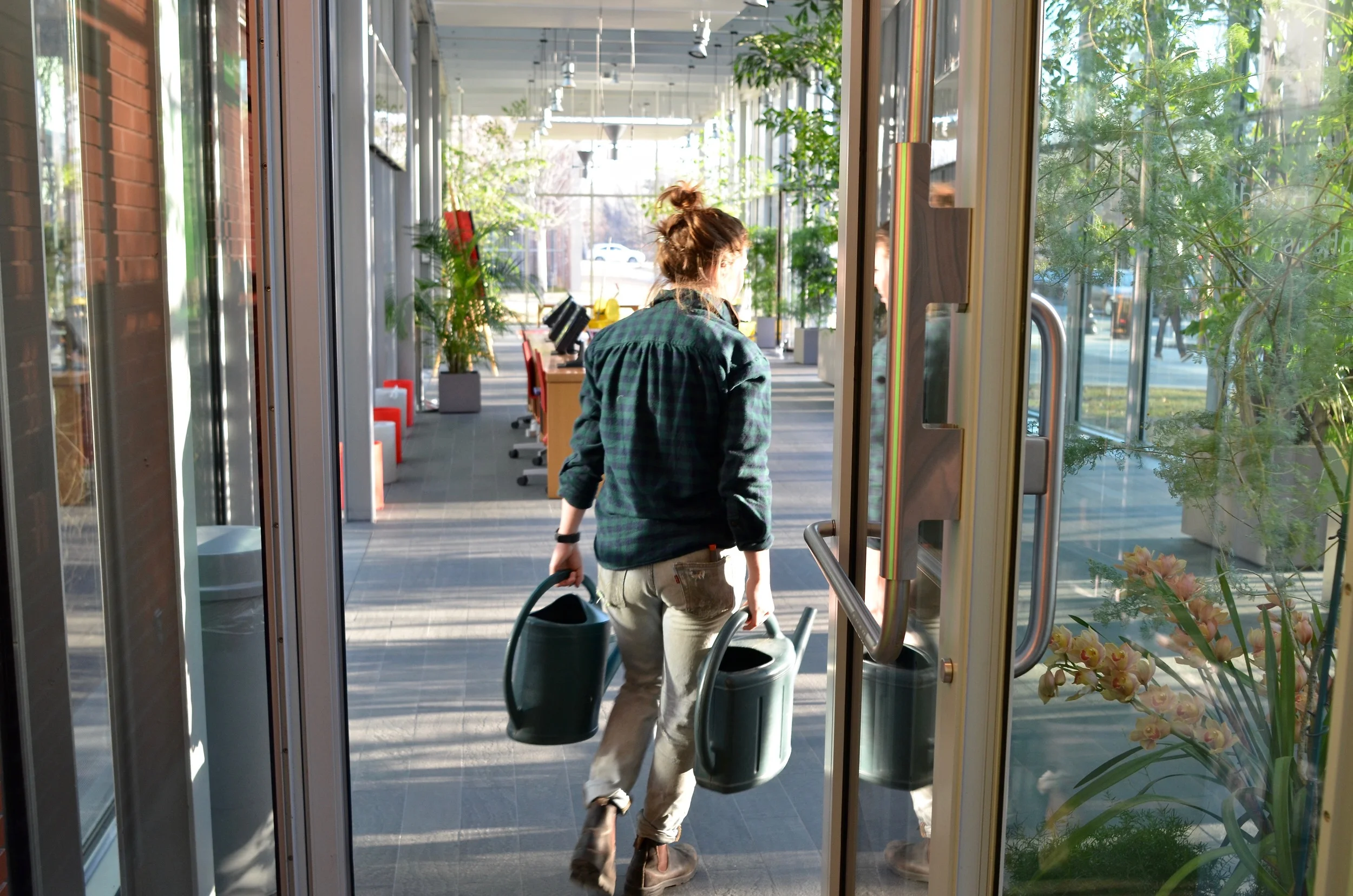 Coburn carries two watering cans from the tap in the greenhouse to the plants in the lobby of the new wing. “There’s no hose out here,” she tells me.
