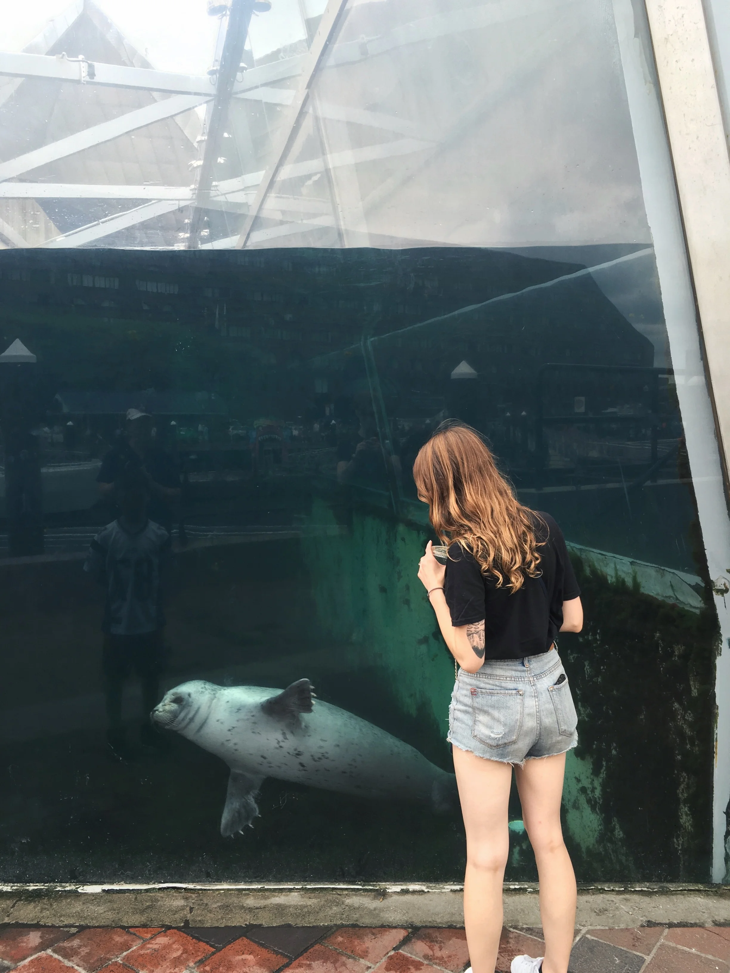 Why do seals have fingernails!?