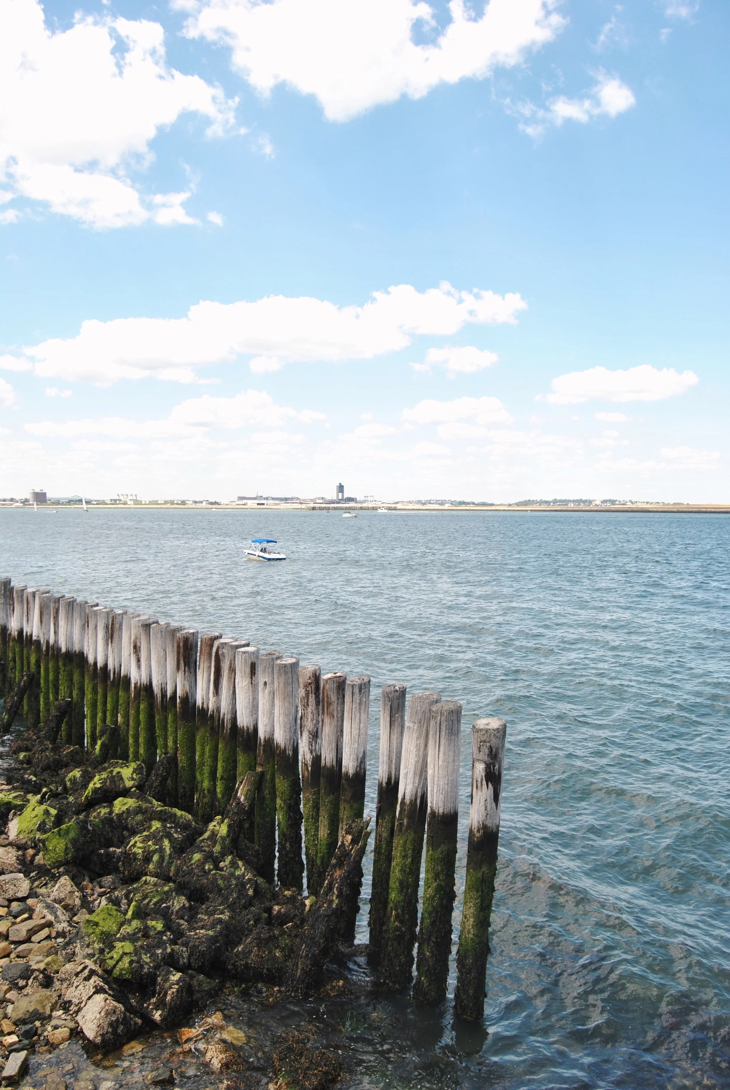 We sat and watched the planes land at Logan airport in the distance, but Lia was more excited by the moss on the wooden poles.