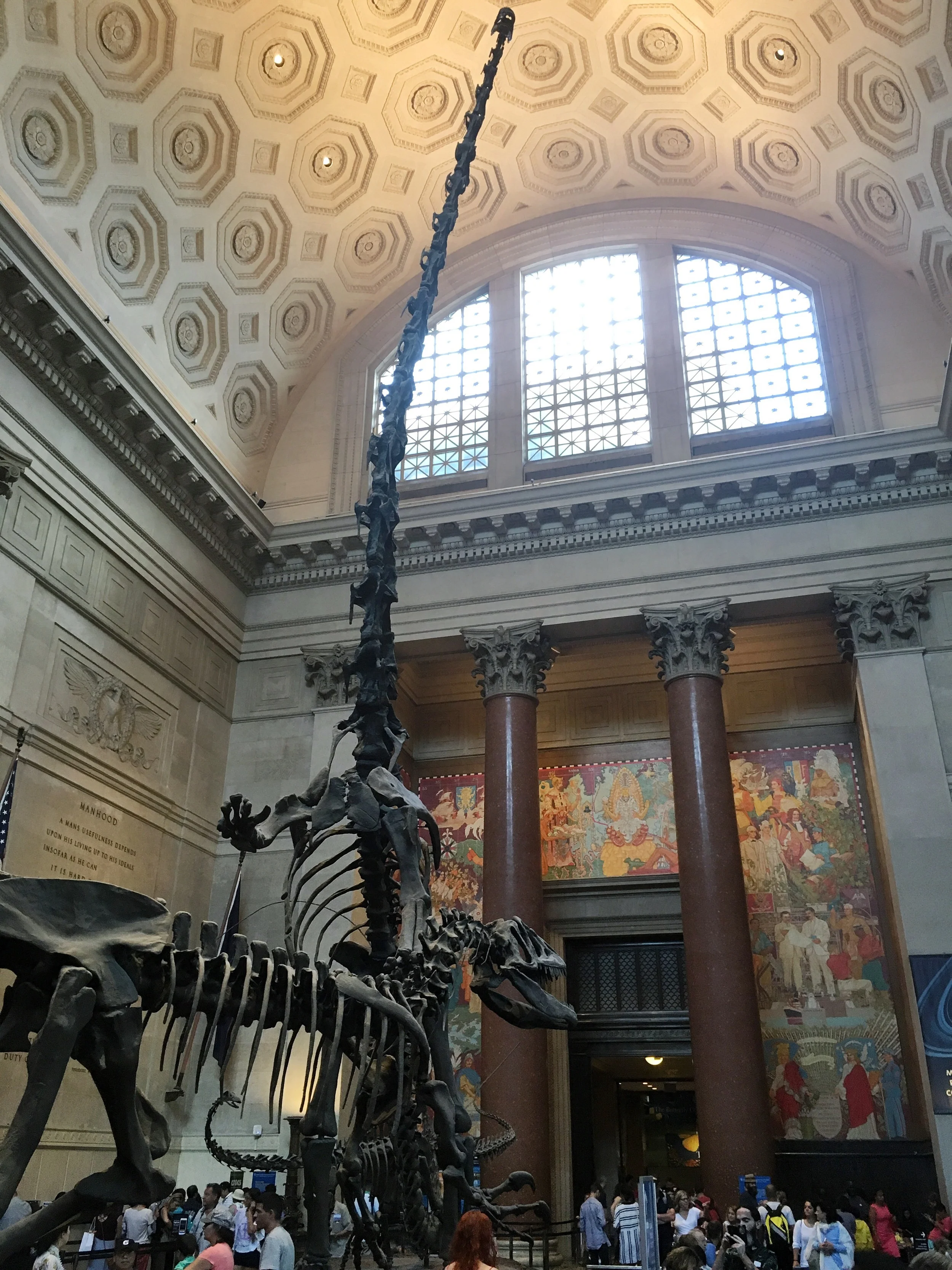 This was a far nicer place to wait for people than Times Square. #dinobattle