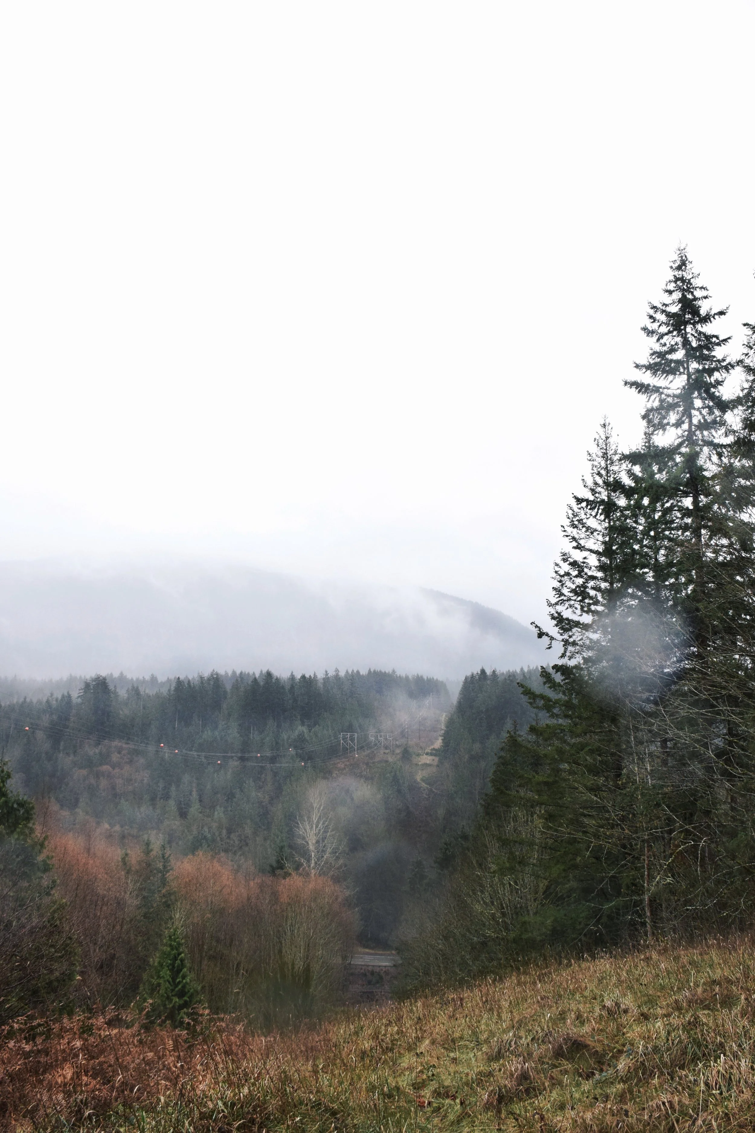 Exploring some bits of Washington we didn't get to on the road trip