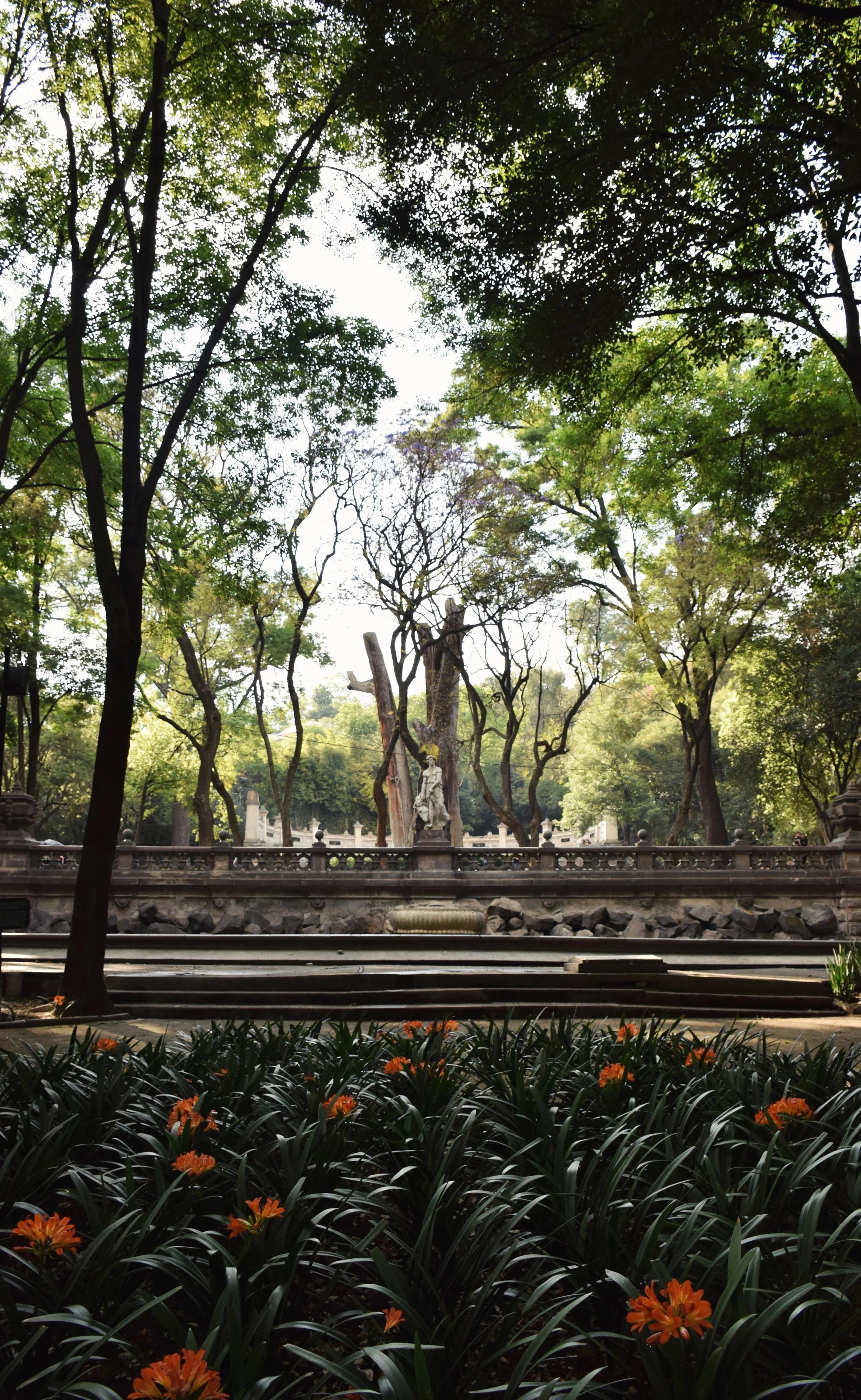 The park had some denser areas of trees and foliage, and while we barely covered a fraction of it -- it's bigger than Central Park in NYC by a lot! -- what we did explore was beautiful. 