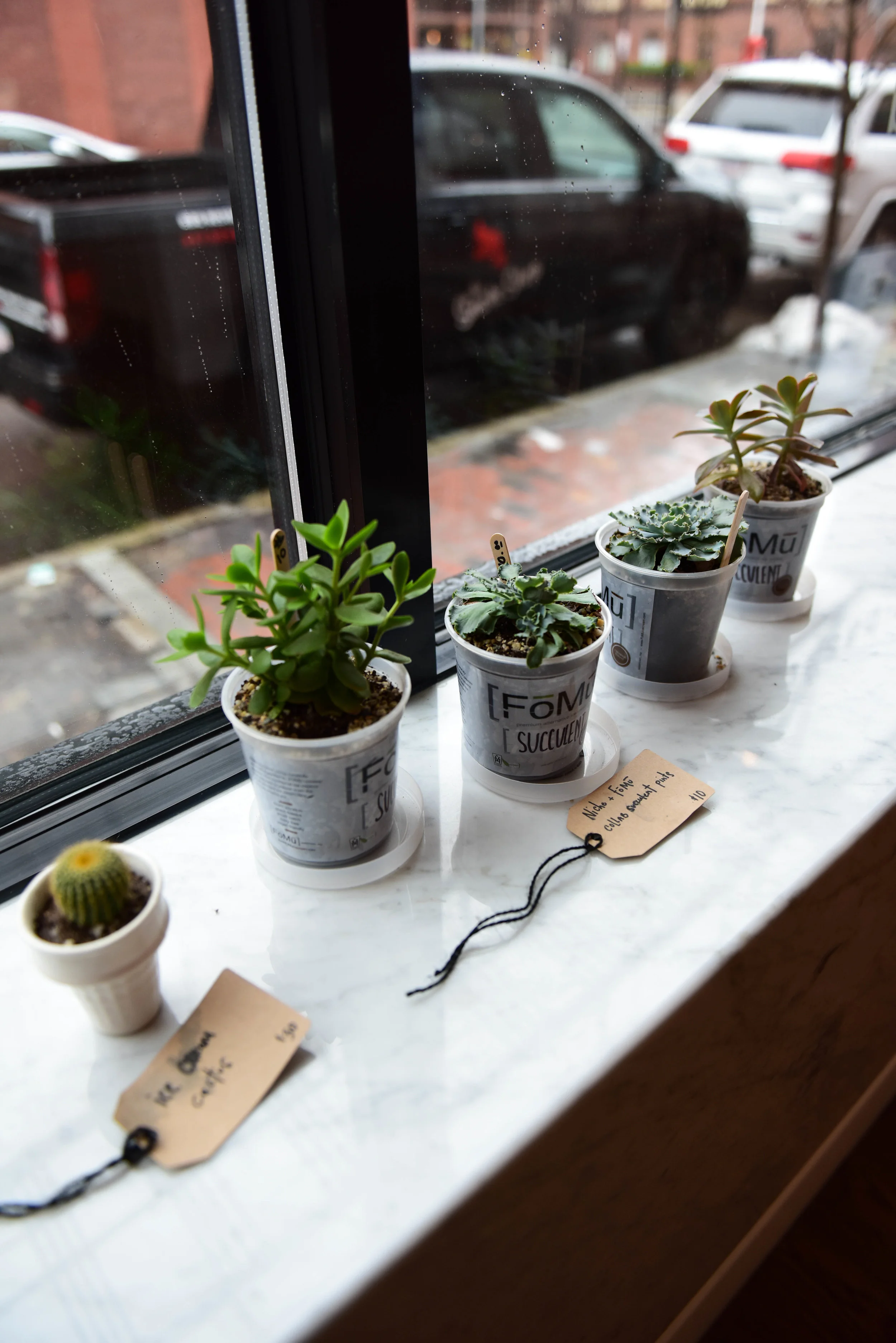 Speaking of local businesses, FoMu shared a pop-up space on Newbury Street last year with with a fellow women-owned business, Niche. The two companies both own shops on Tremont Street in the South End, and you can grab a little collaboration greenery from FoMu while you’re picking up a pint.
