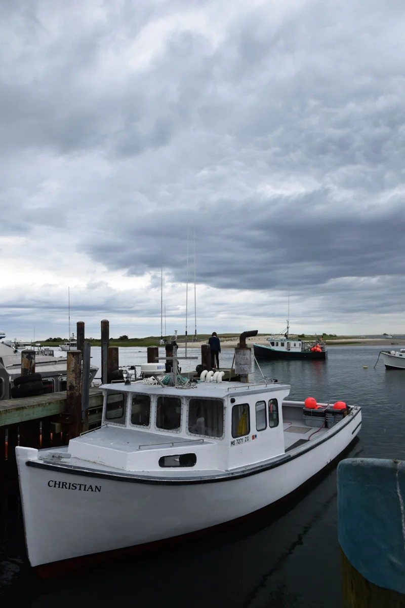 DSC_0785.jpg