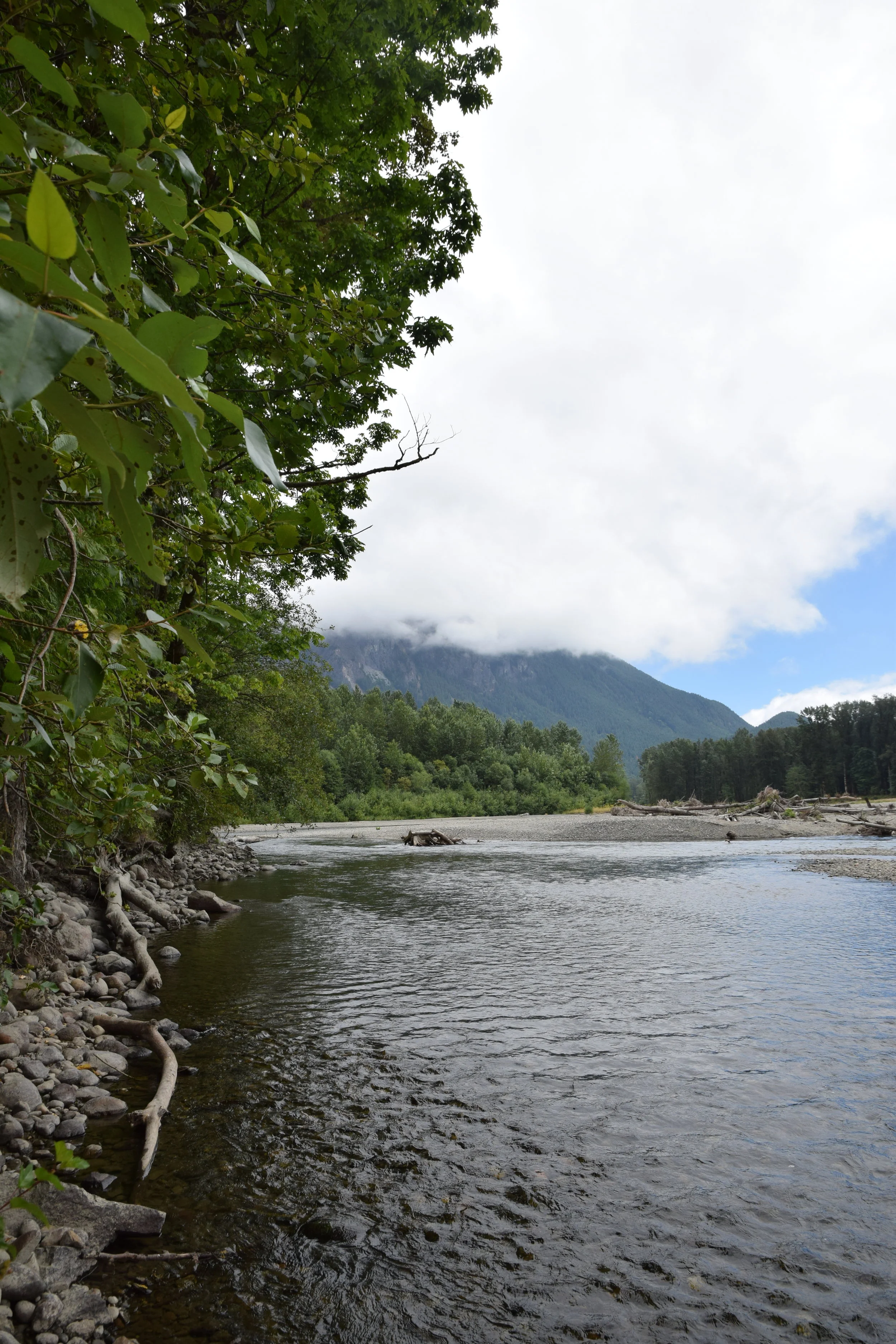 This is a music playlist for July creatively titled "July"