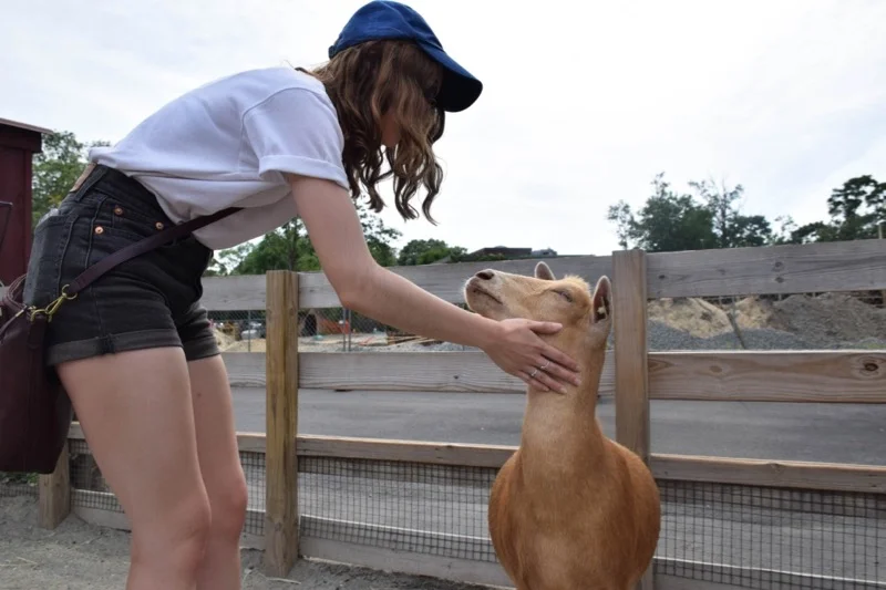 Lia made friends with a goat that we affectionately named "Lloyd." Lloyd the goat sneezed on Lia.
