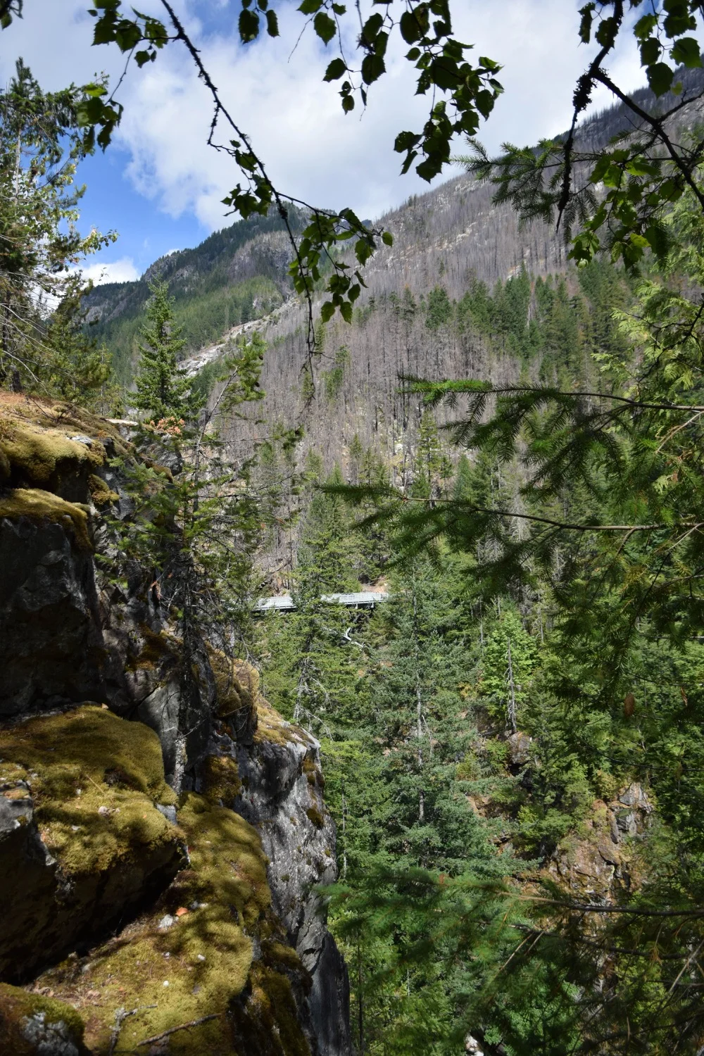 DSC_0717.jpg