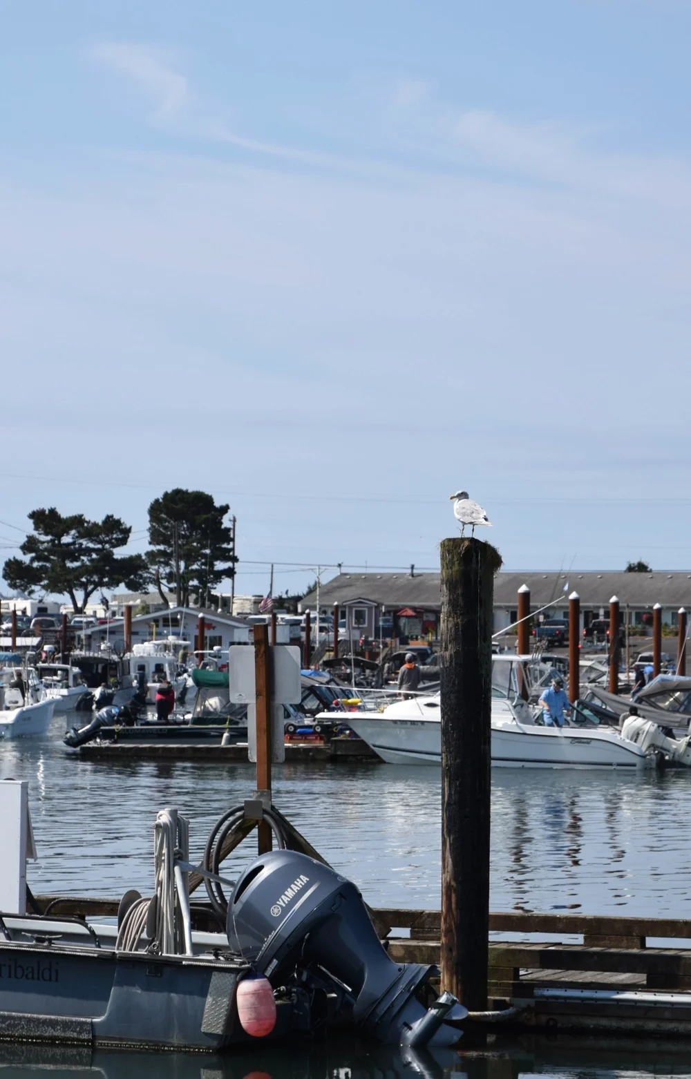 DSC_0465.jpg