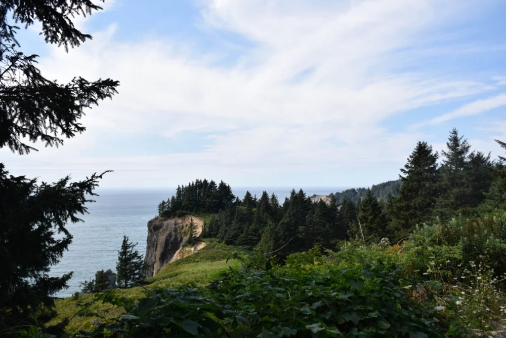 DSC_0604.jpg