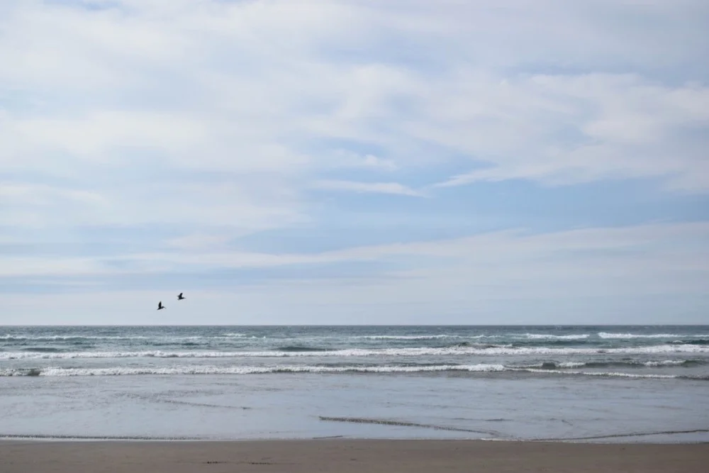 DSC_0684.jpg