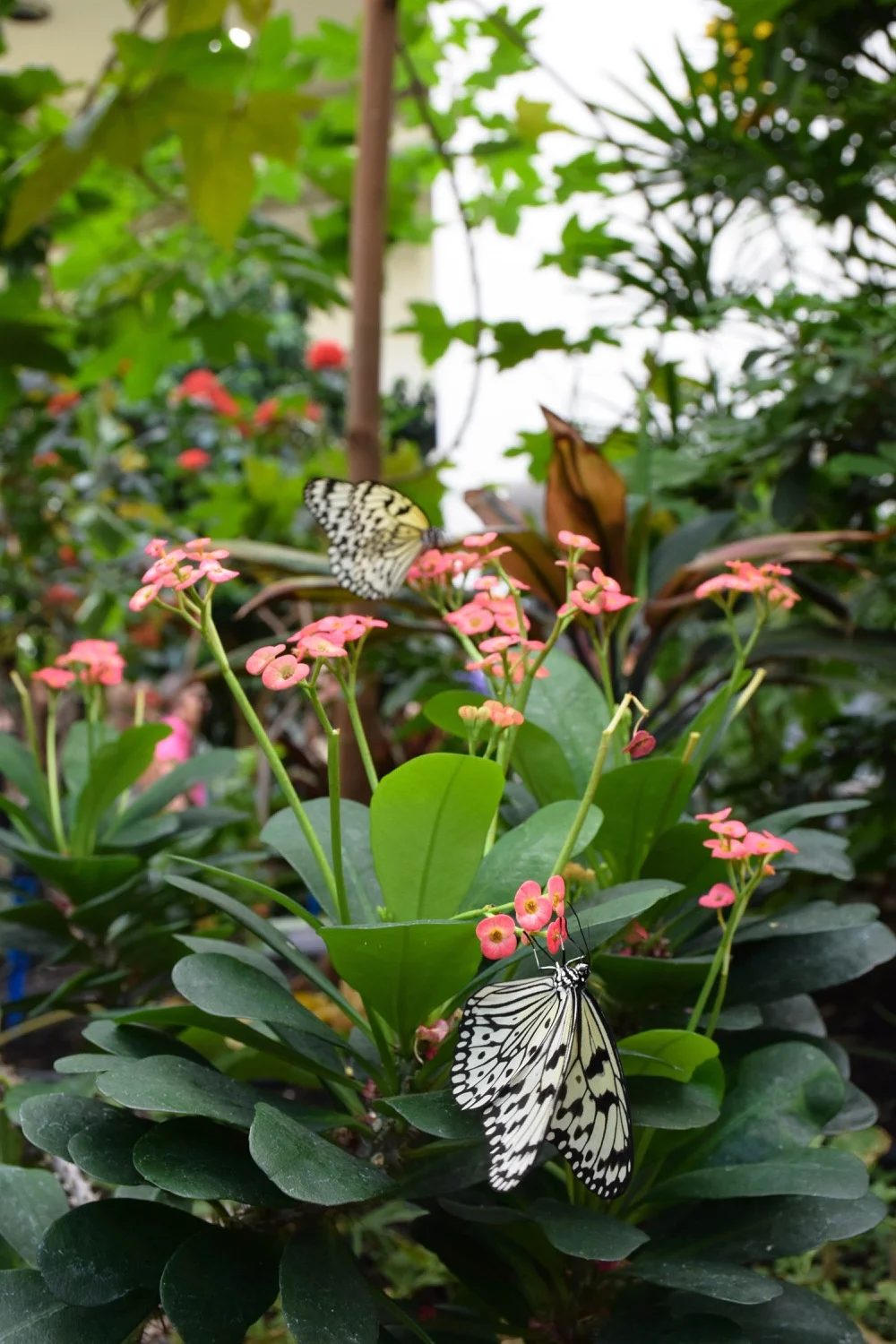 DSC_0177.jpg