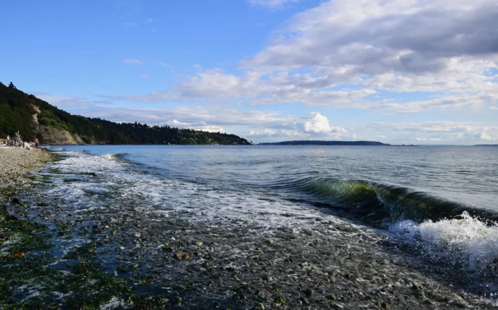 DSC_0152.jpg
