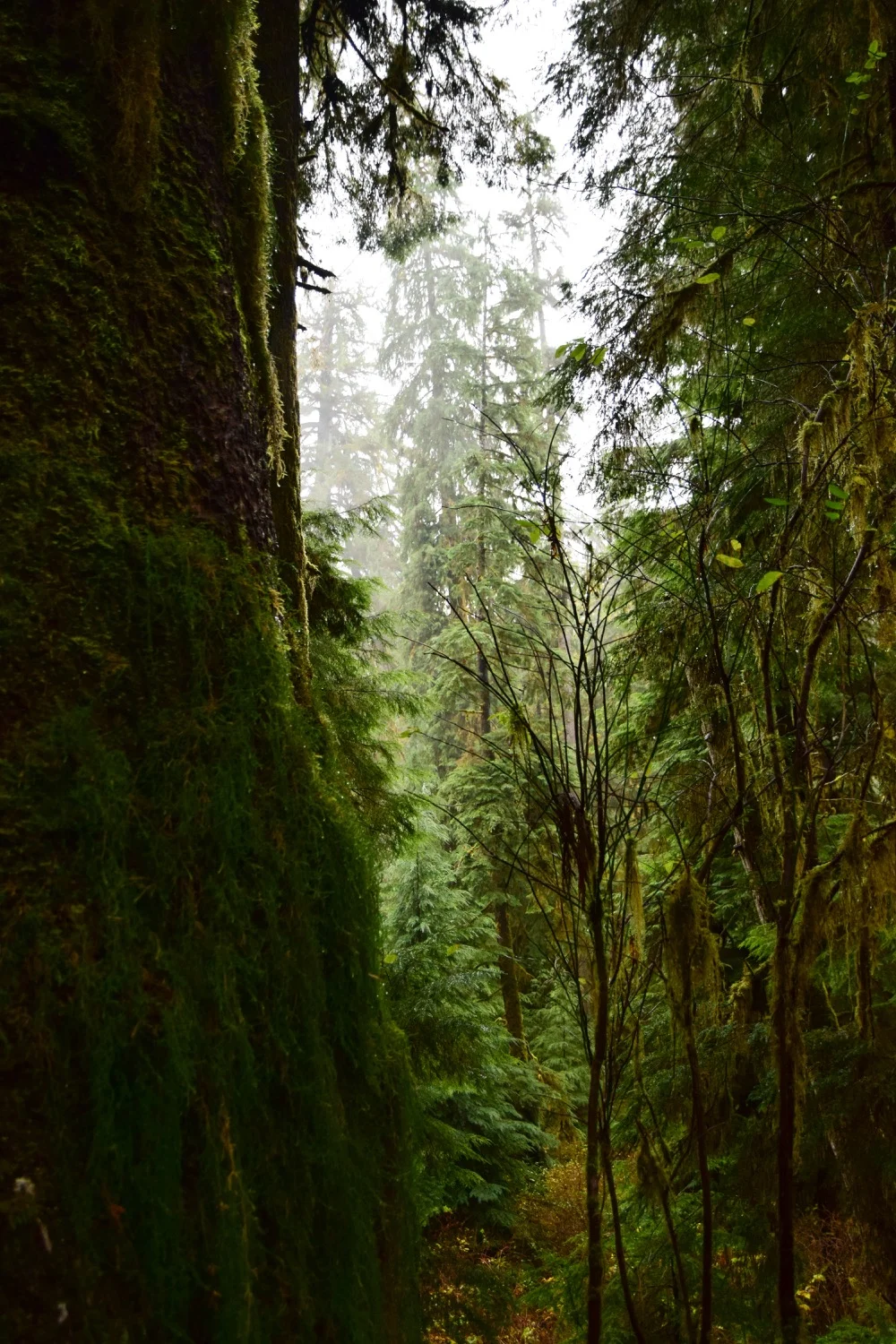 DSC_0265.jpg