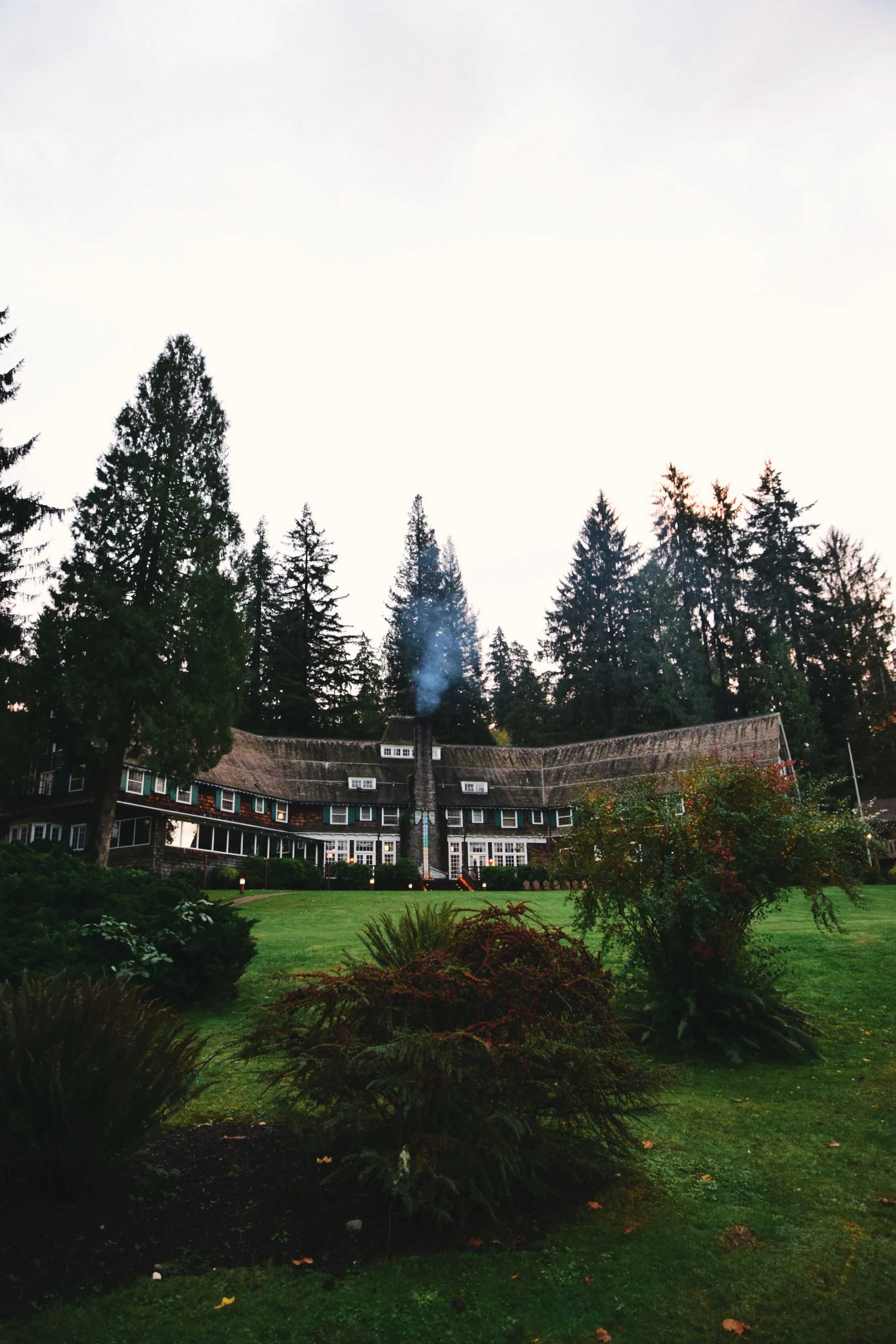 Good news and good woodsy aesthetics