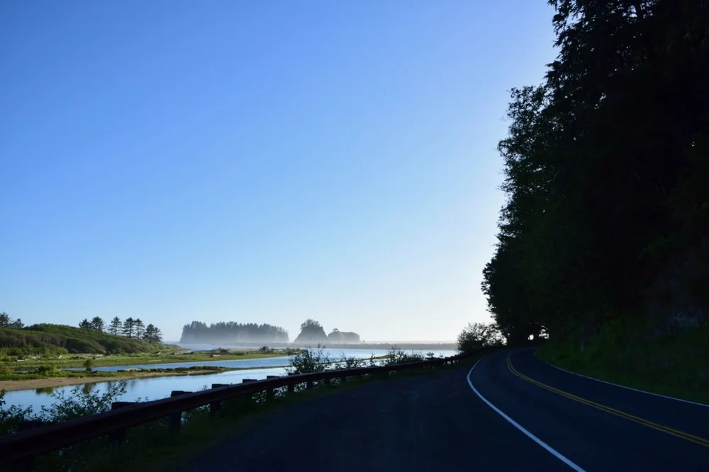 DSC_0253.jpg