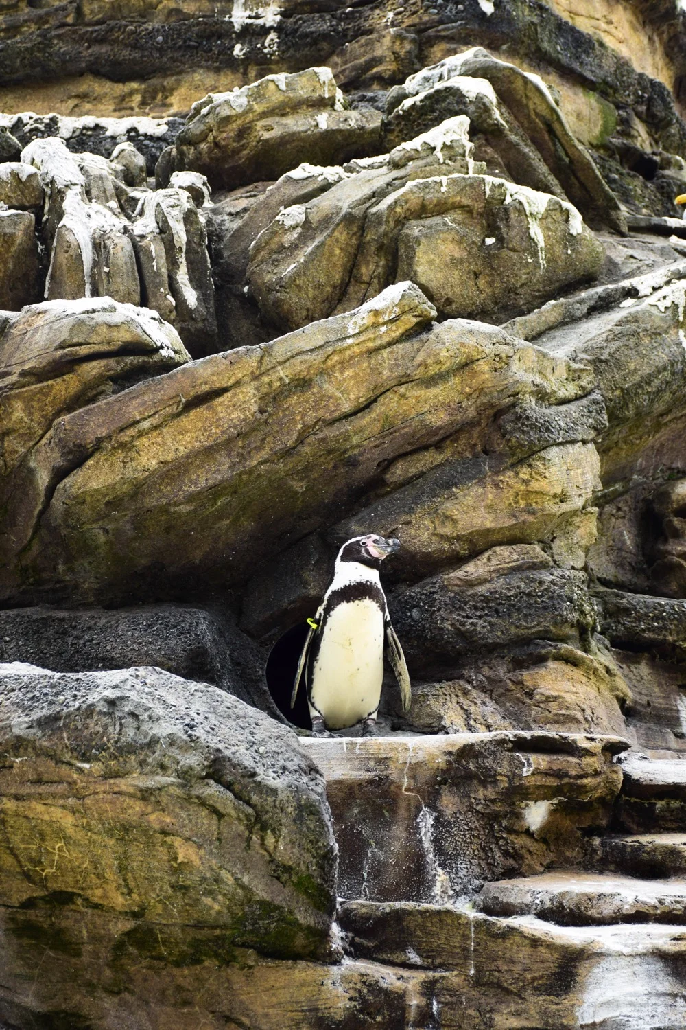 DSC_0187.jpg