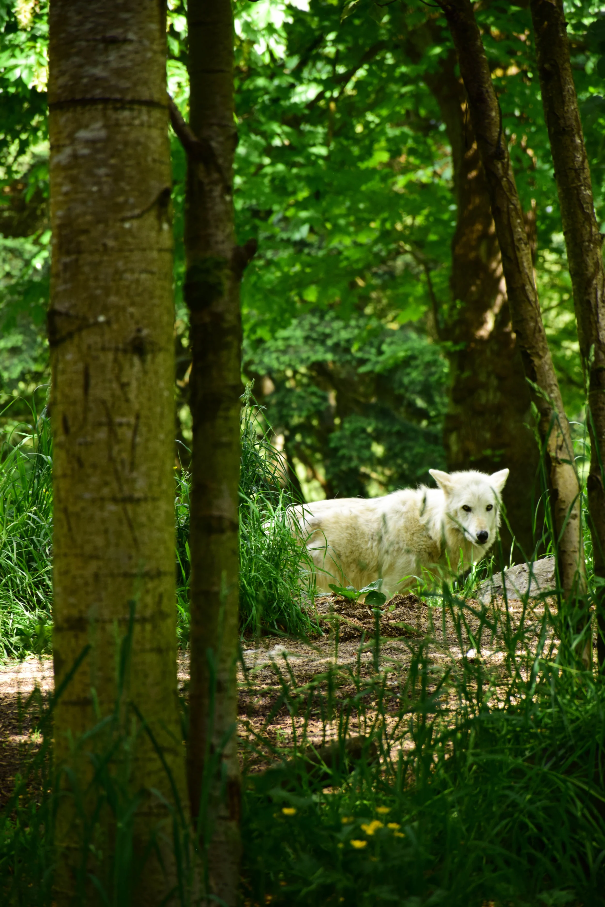 DSC_0177.jpg