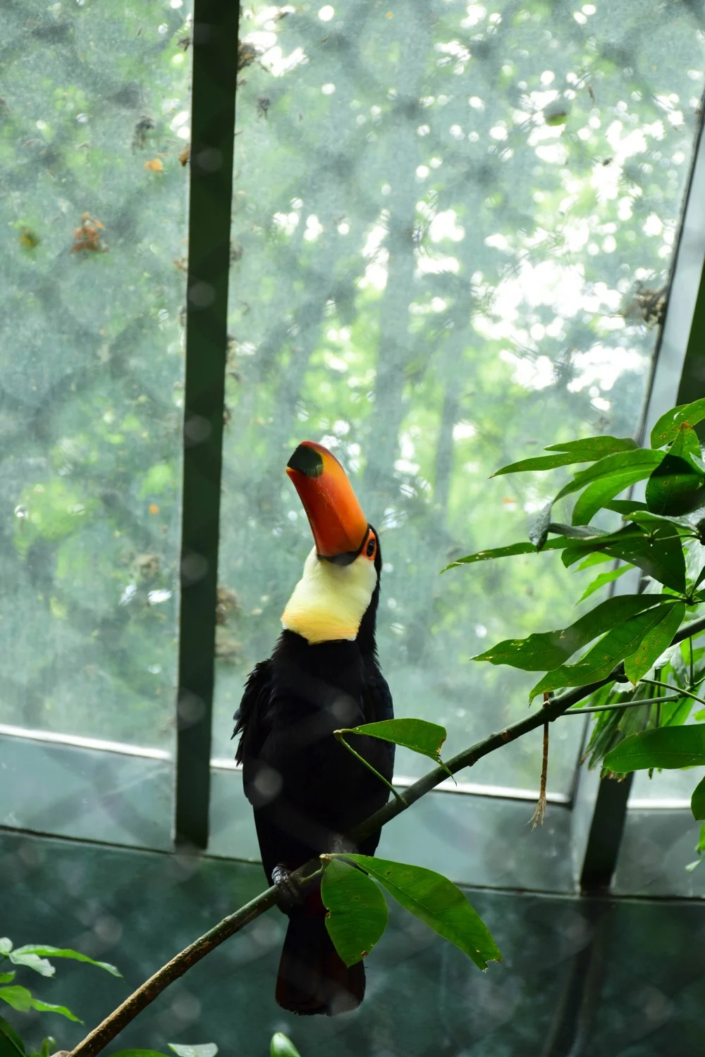 DSC_0210.jpg