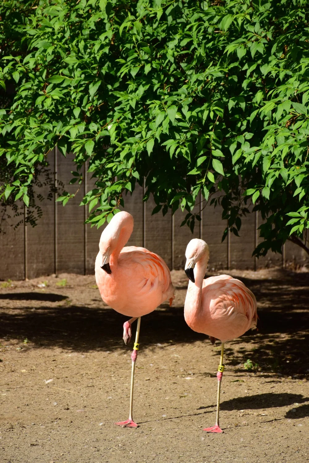 DSC_0354.jpg