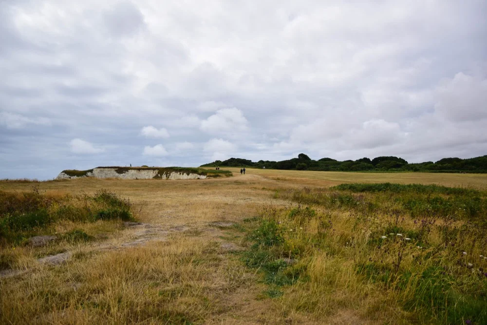 DSC_0131.jpg