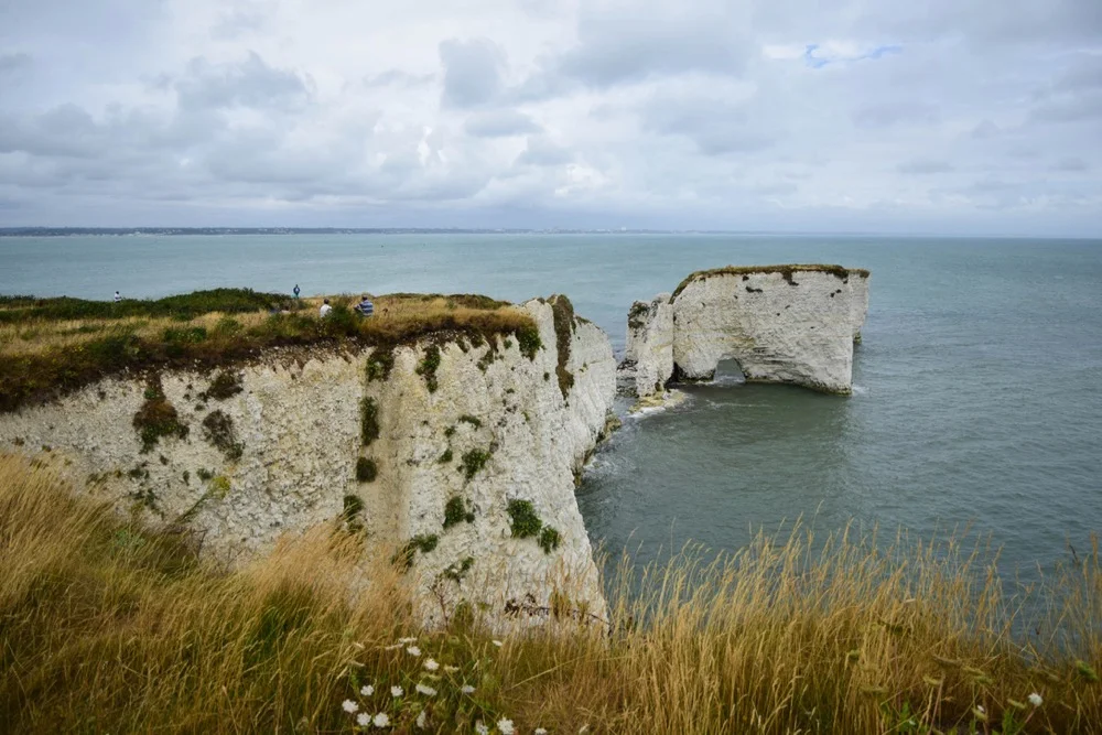 DSC_0140.jpg