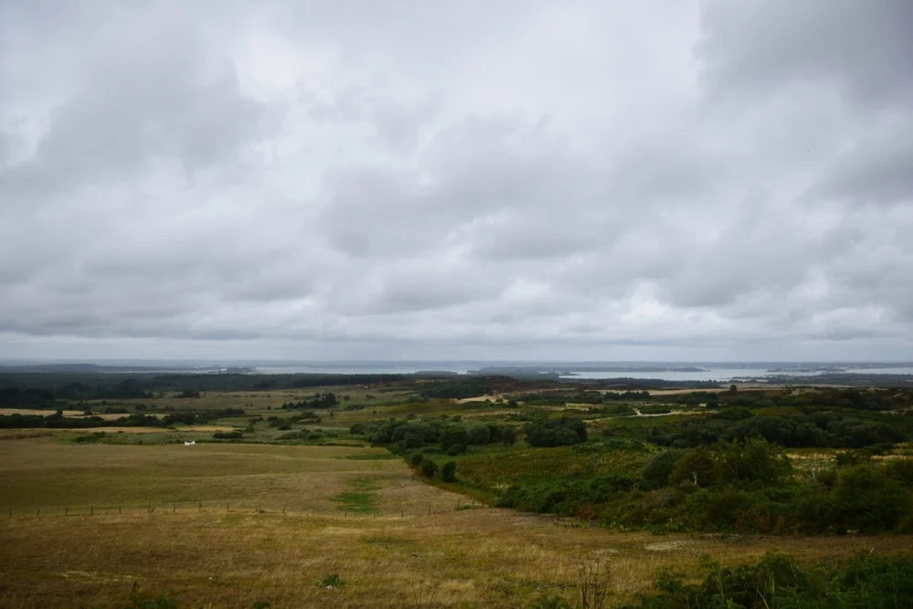DSC_0204.jpg