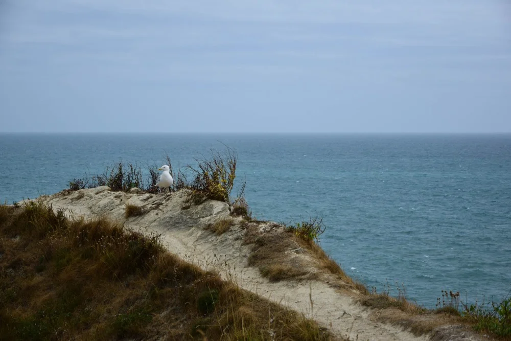 DSC_0294.jpg