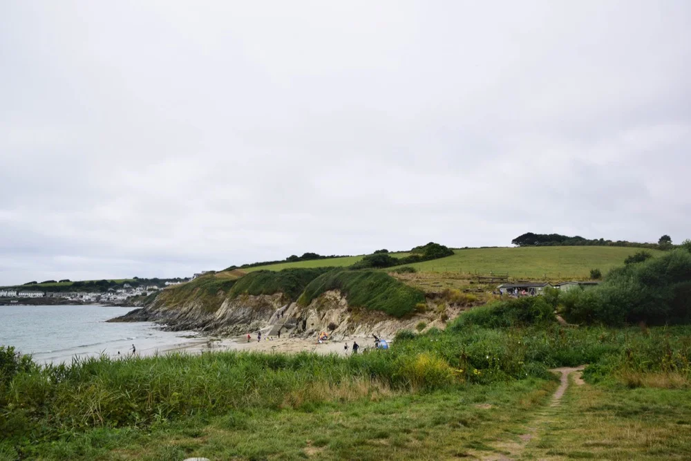 DSC_0006.jpg