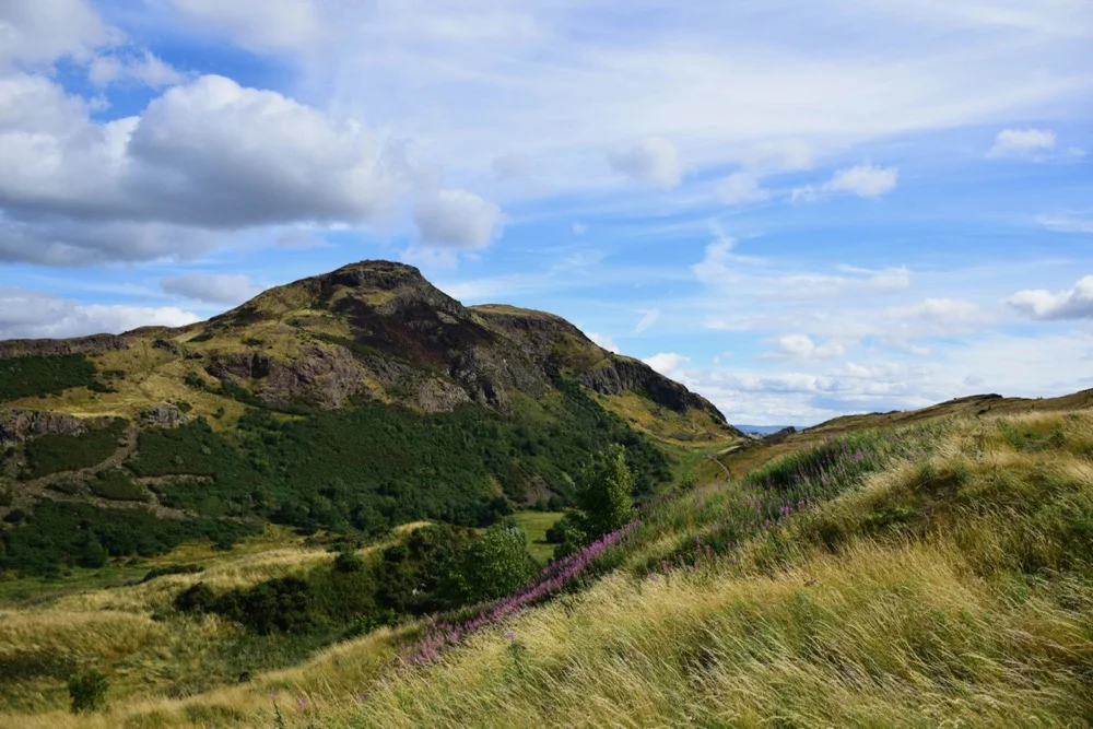 DSC_0159.jpg