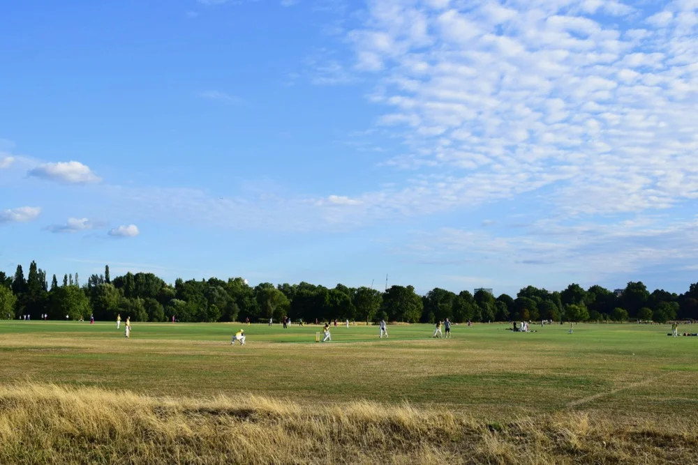 DSC_0528.jpg