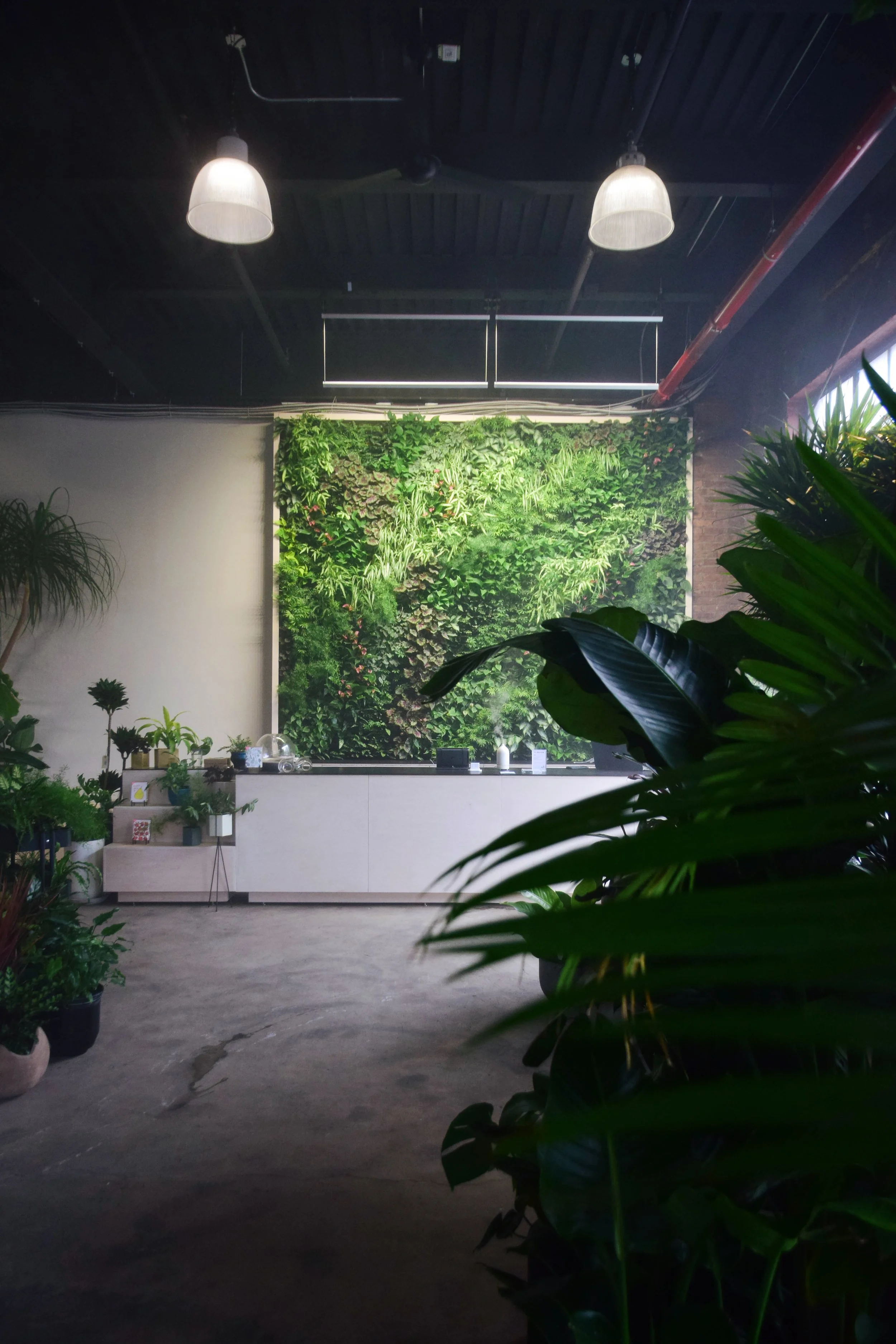 Greenery:Unlimited Plant Care Guides