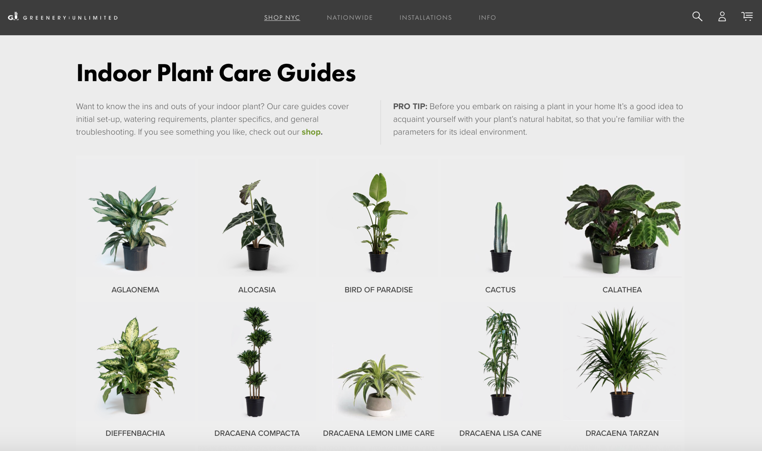 Screen Shot 2019-06-11 at 11.08.29 AM.png