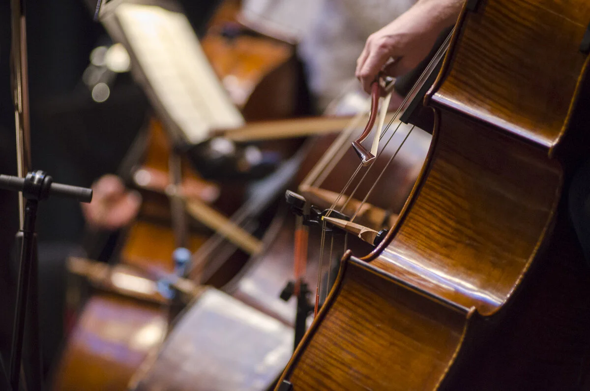 "- Last minute tuning before the performance.jpg