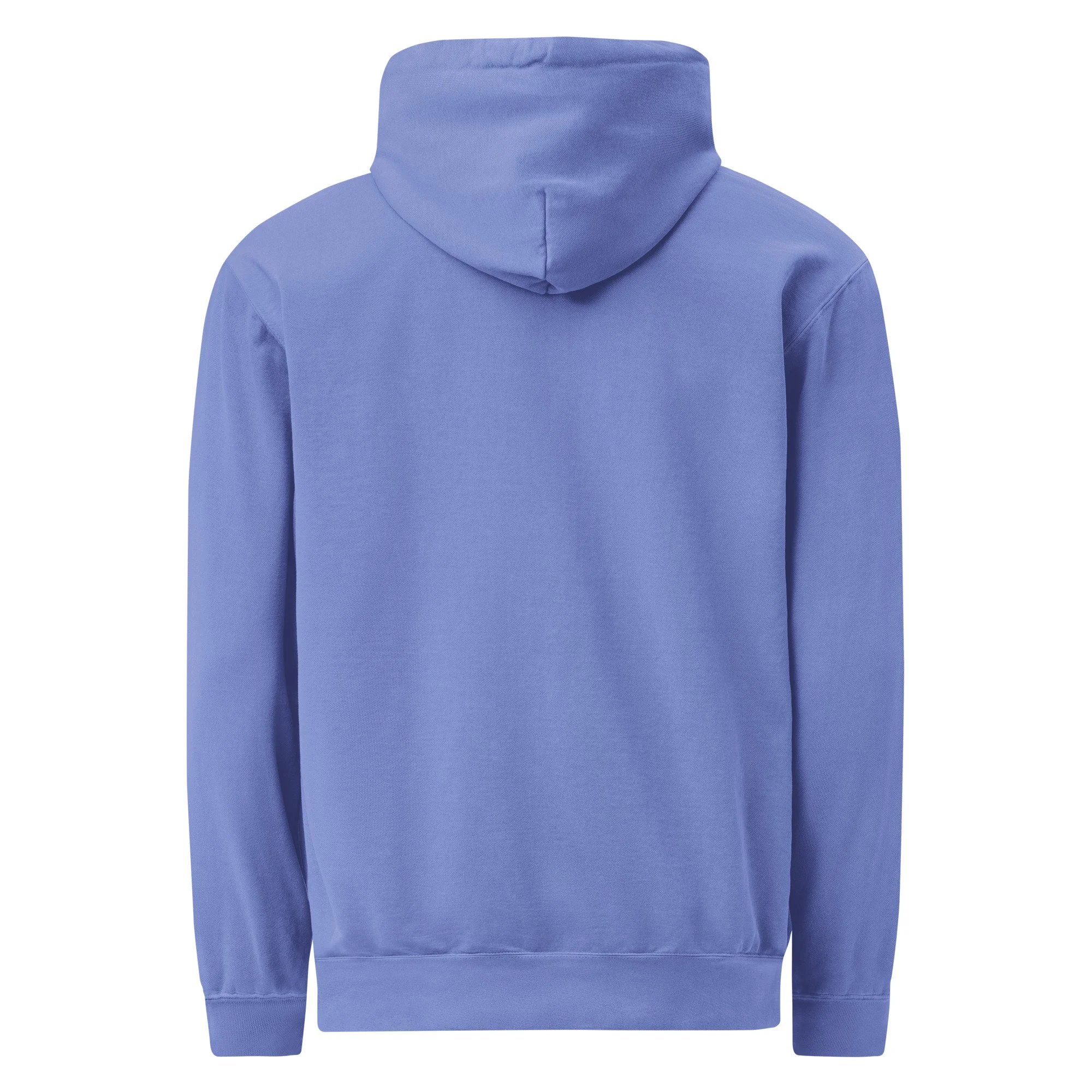 unisex-garment-dyed-hooded-sweatshirt-i-comfort-colors-1567-flo-blue-back-69f69c7745f85.jpg