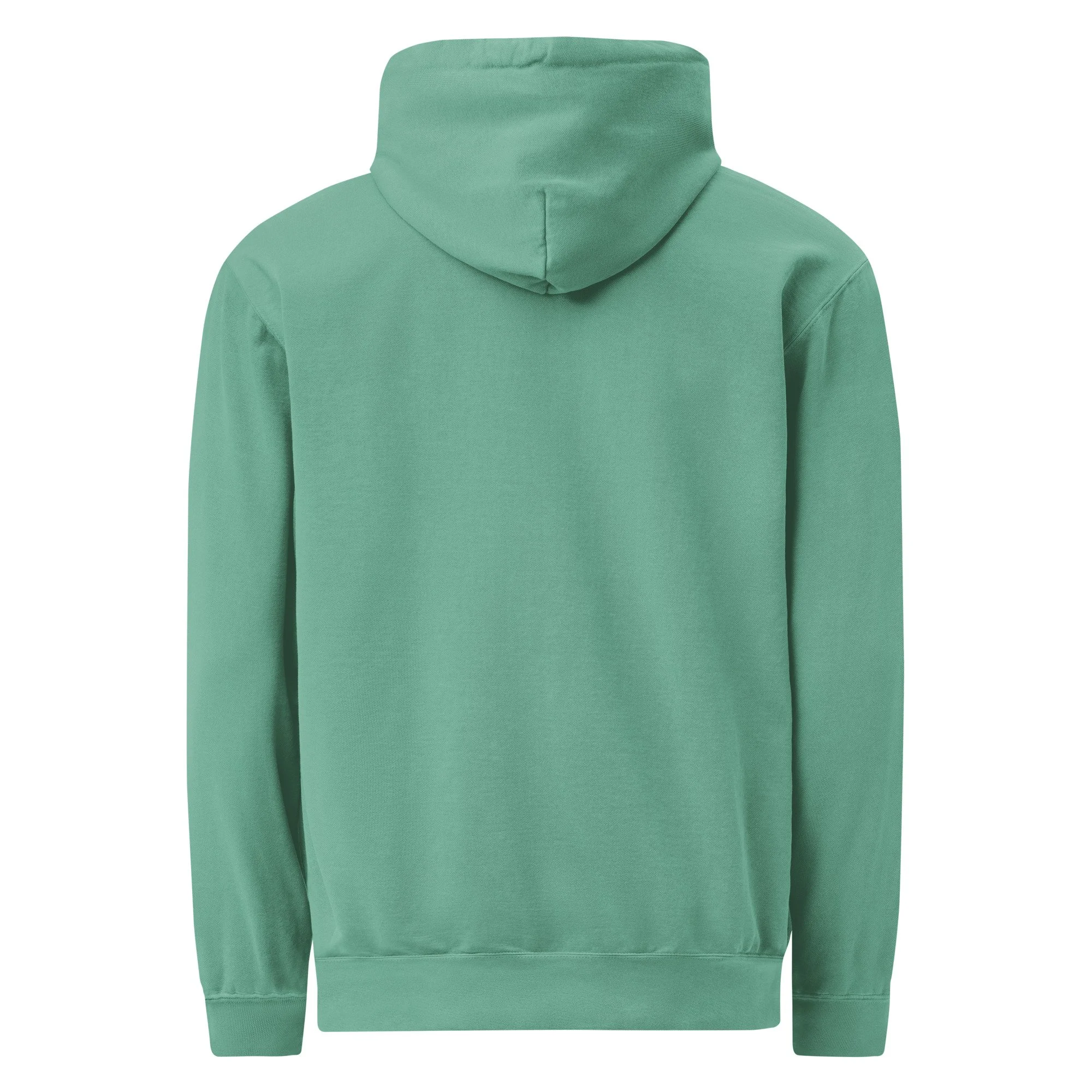 unisex-garment-dyed-hooded-sweatshirt-i-comfort-colors-1567-seafoam-back-69f69c7746036.jpg