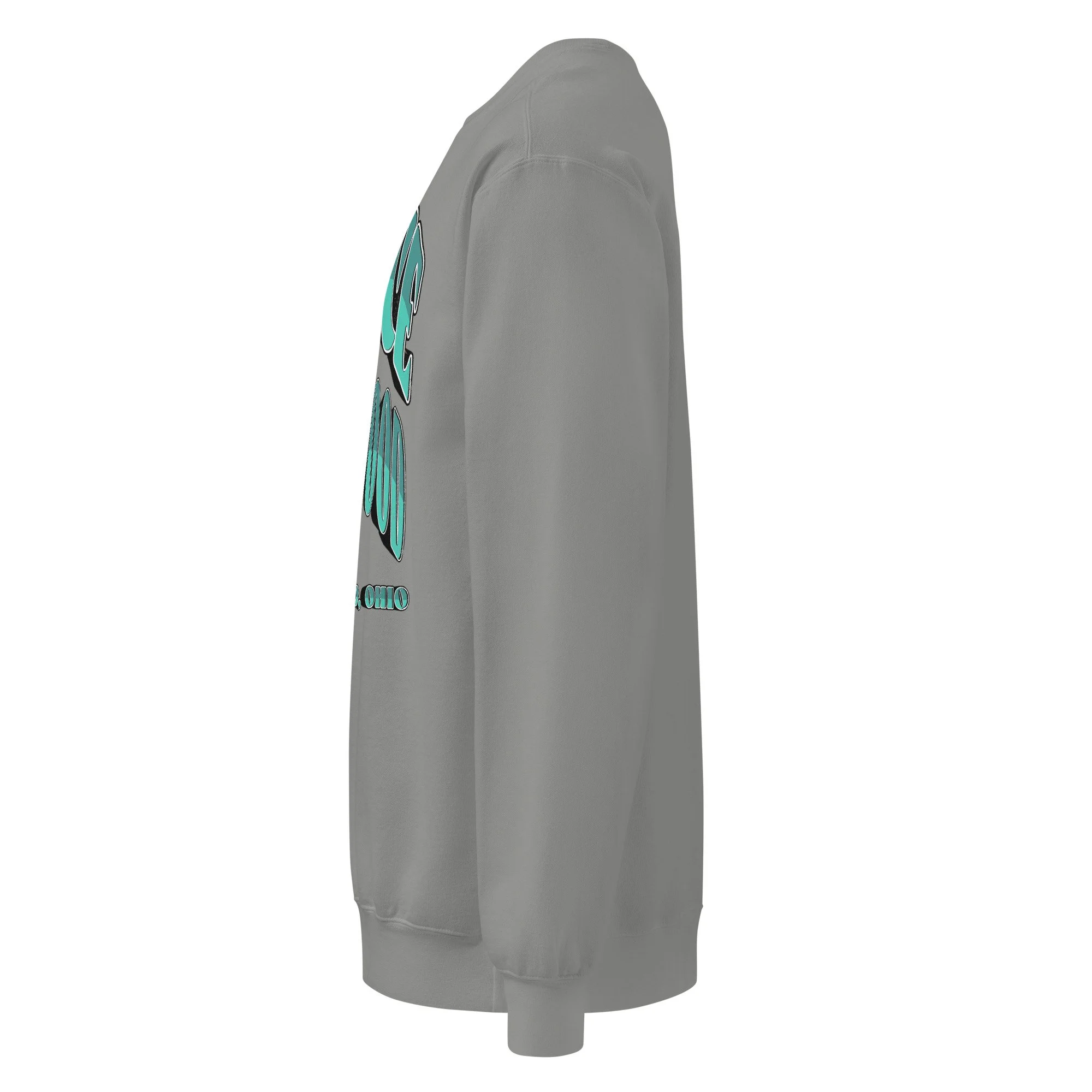 unisex-garment-dyed-sweatshirt-grey-left-69f69edee3766.jpg