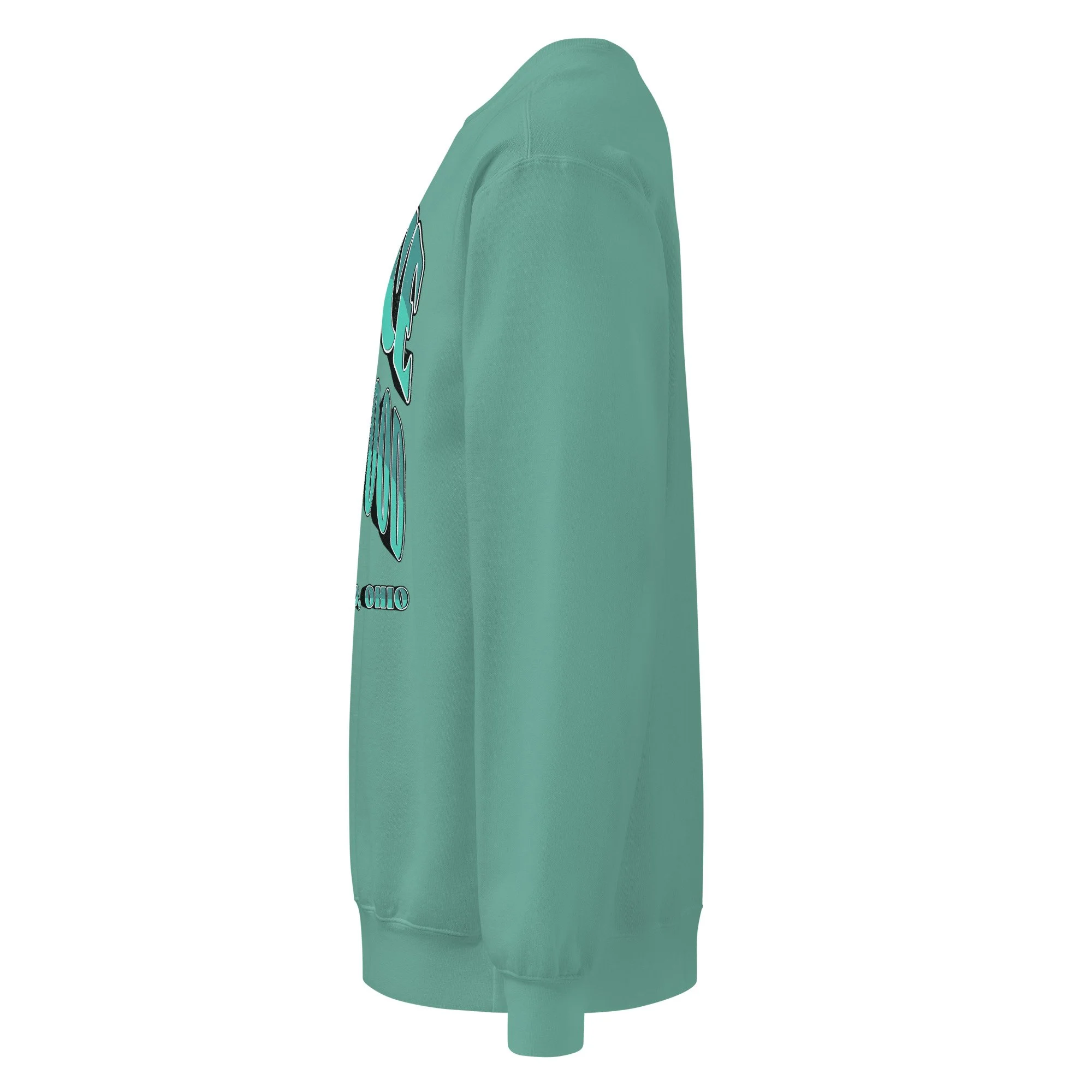 unisex-garment-dyed-sweatshirt-seafoam-left-69f69edee37f2.jpg