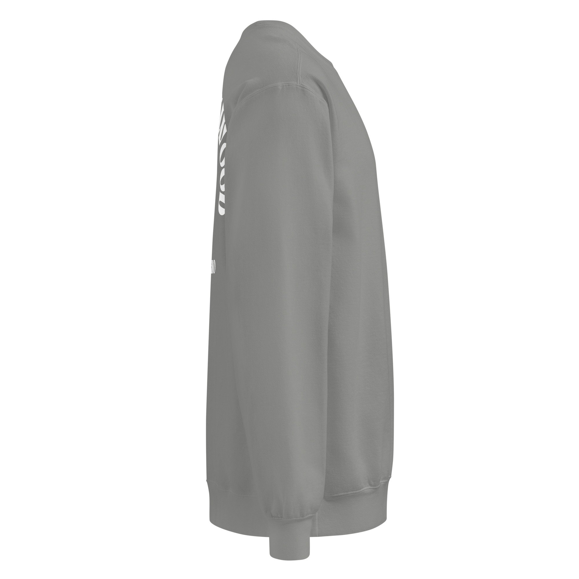 unisex-garment-dyed-sweatshirt-grey-right-69f69f5e3a104.jpg