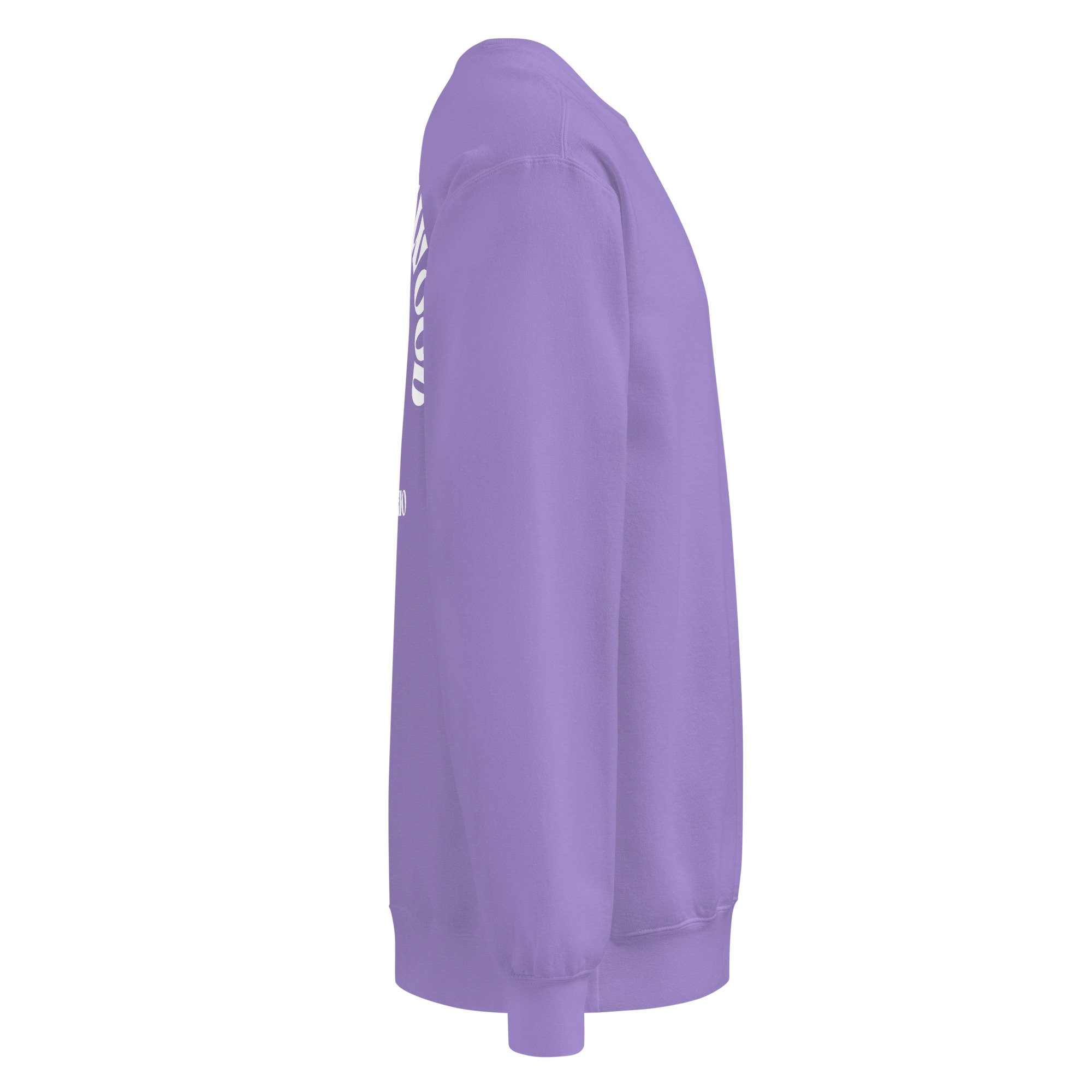 unisex-garment-dyed-sweatshirt-violet-right-69f69f5e3a2ff.jpg