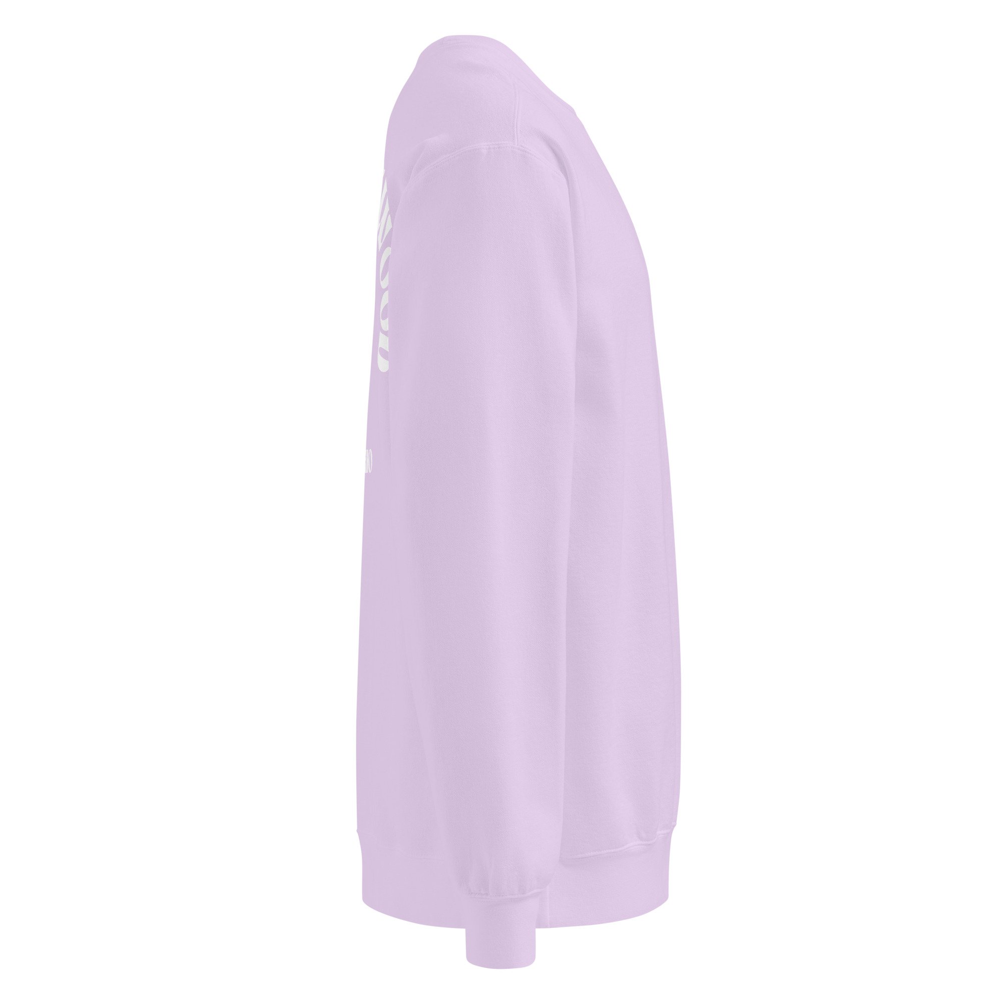 unisex-garment-dyed-sweatshirt-orchid-right-69f69f5e3a1e7.jpg