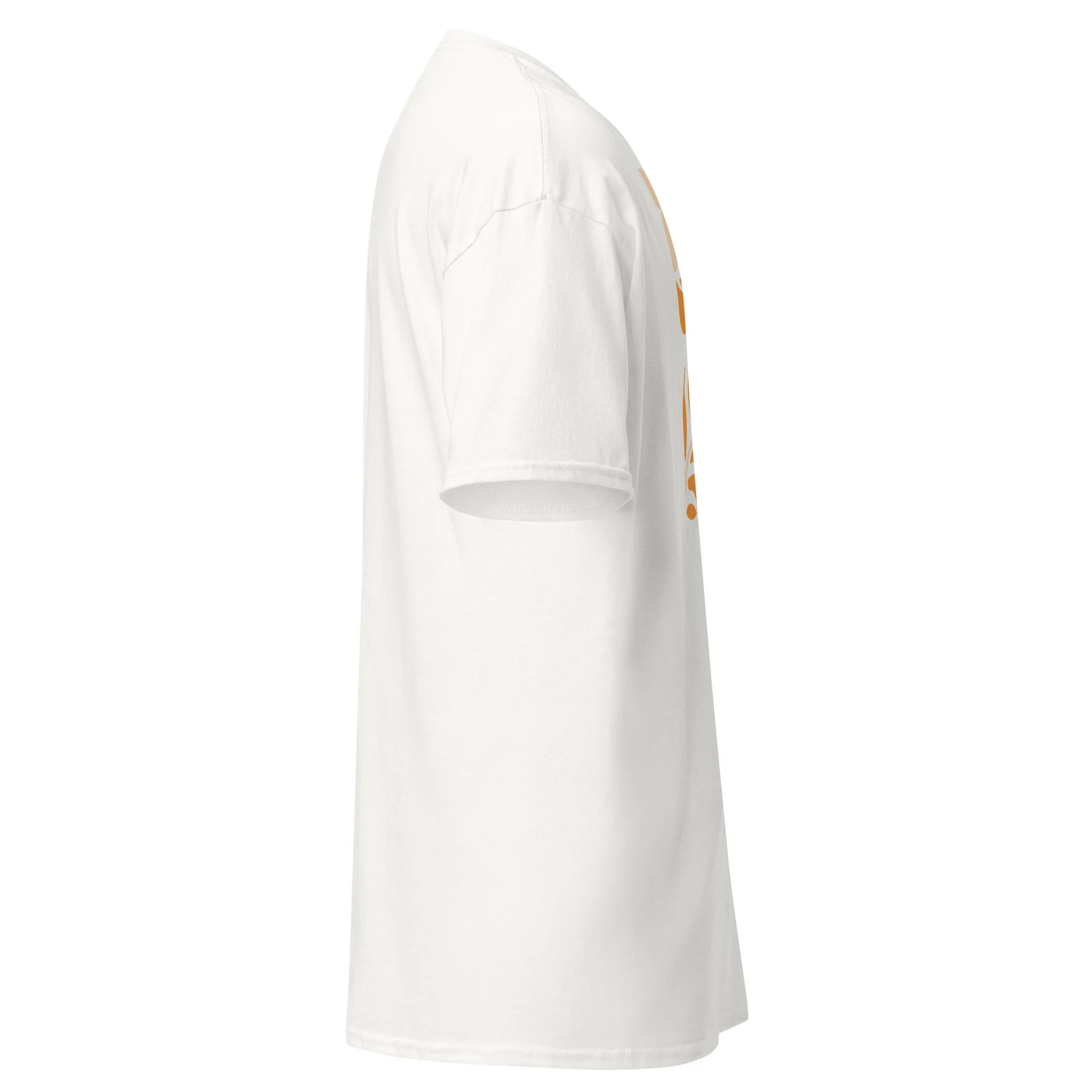 unisex-classic-tee-white-right-69f6a27bf10b2.jpg