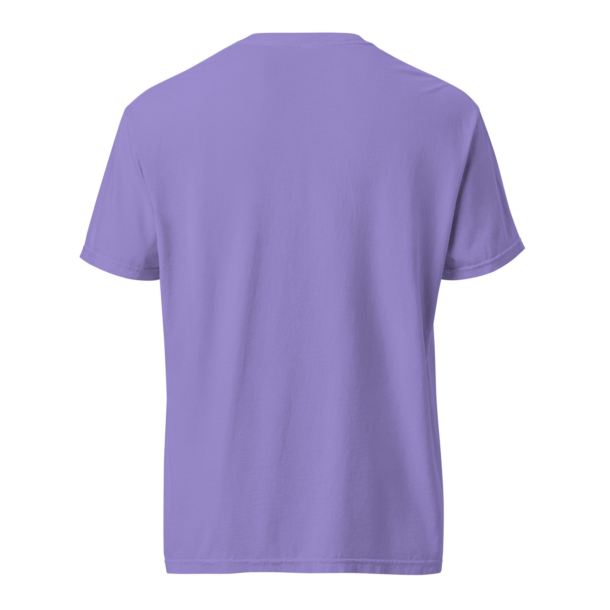 unisex-garment-dyed-heavyweight-t-shirt-violet-back-69f6a88233da6.jpg