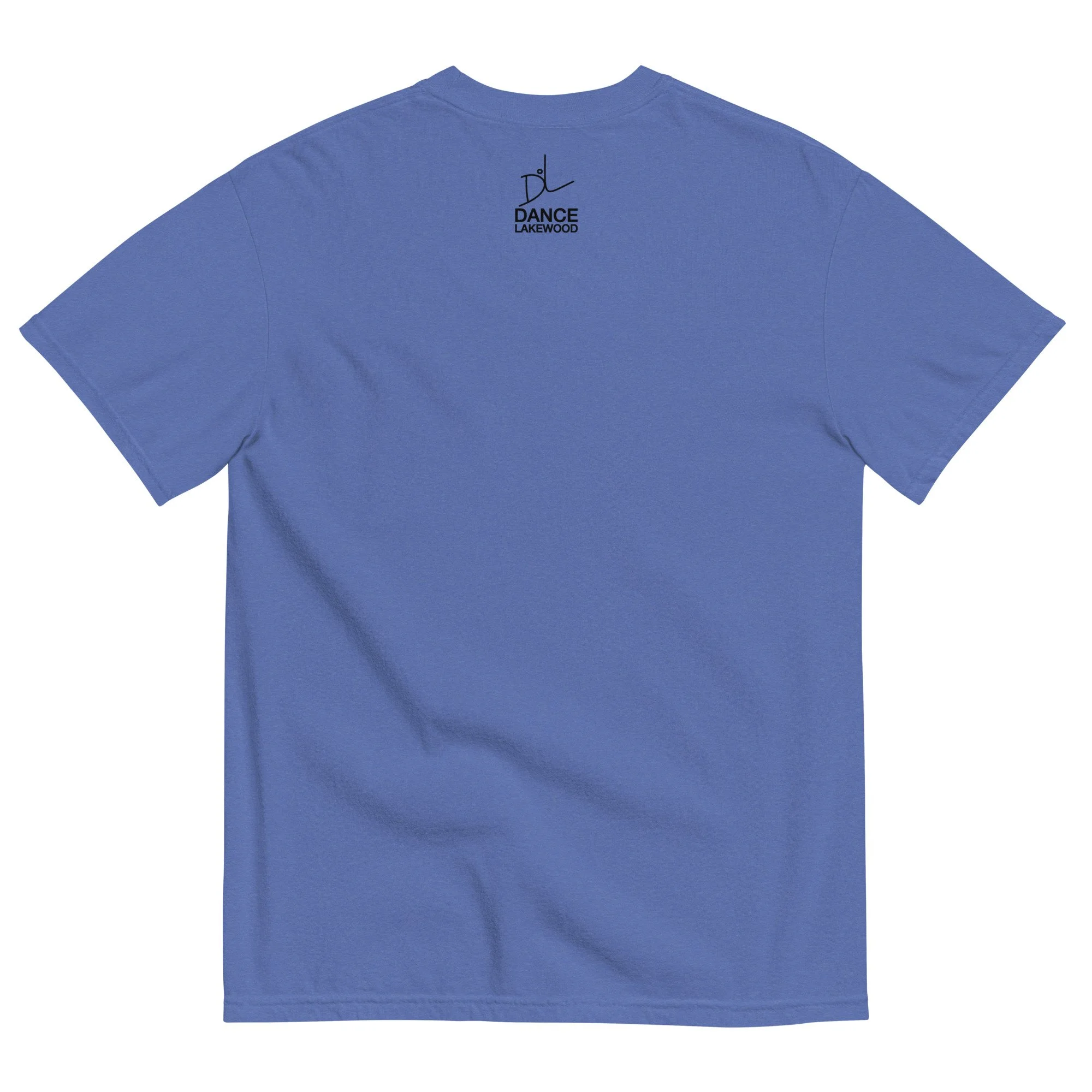 unisex-garment-dyed-heavyweight-t-shirt-mystic-blue-back-69f6a91cbc77d.jpg